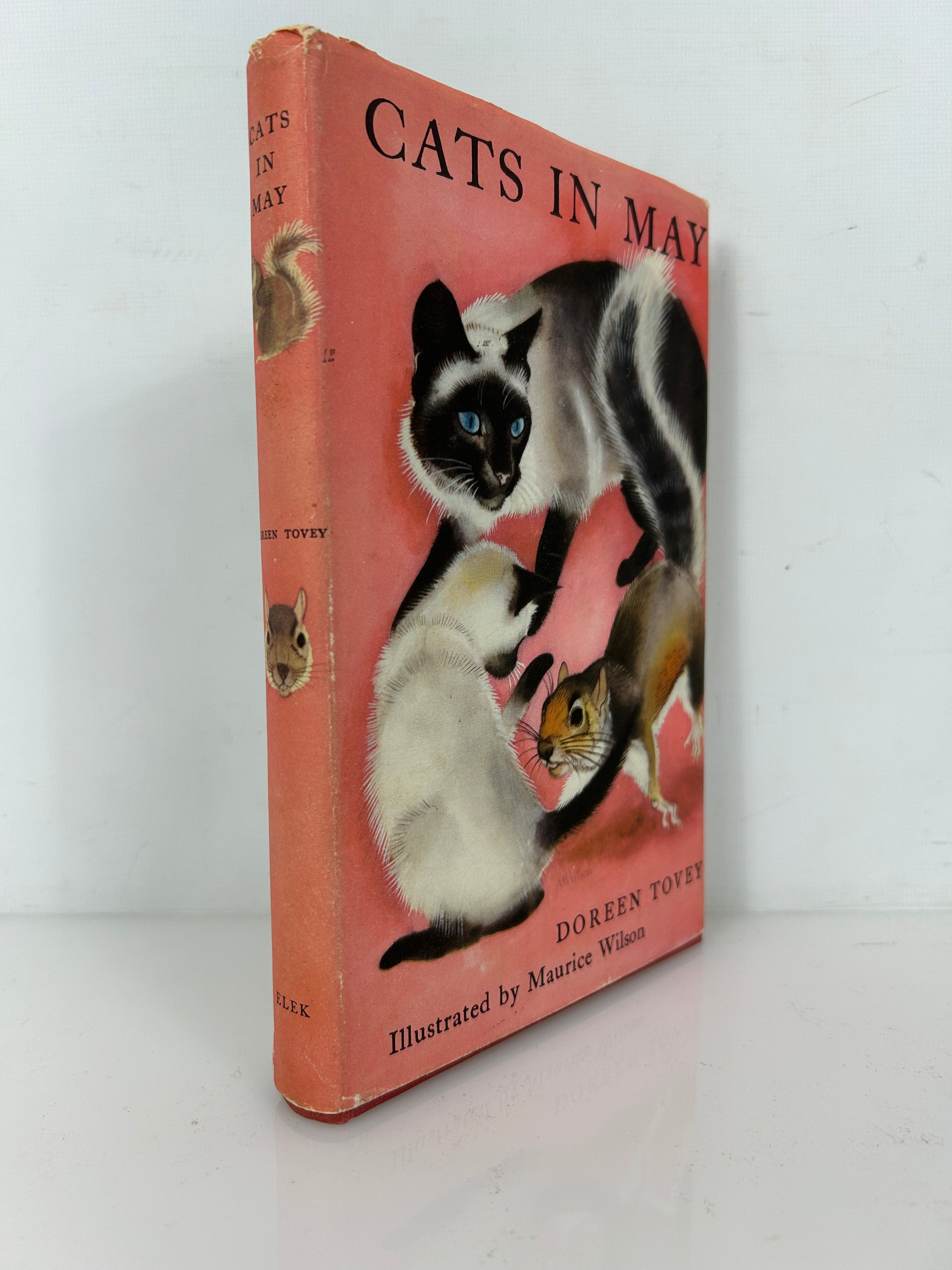 Cats In May Dorean Tovey 1959 HCDJ