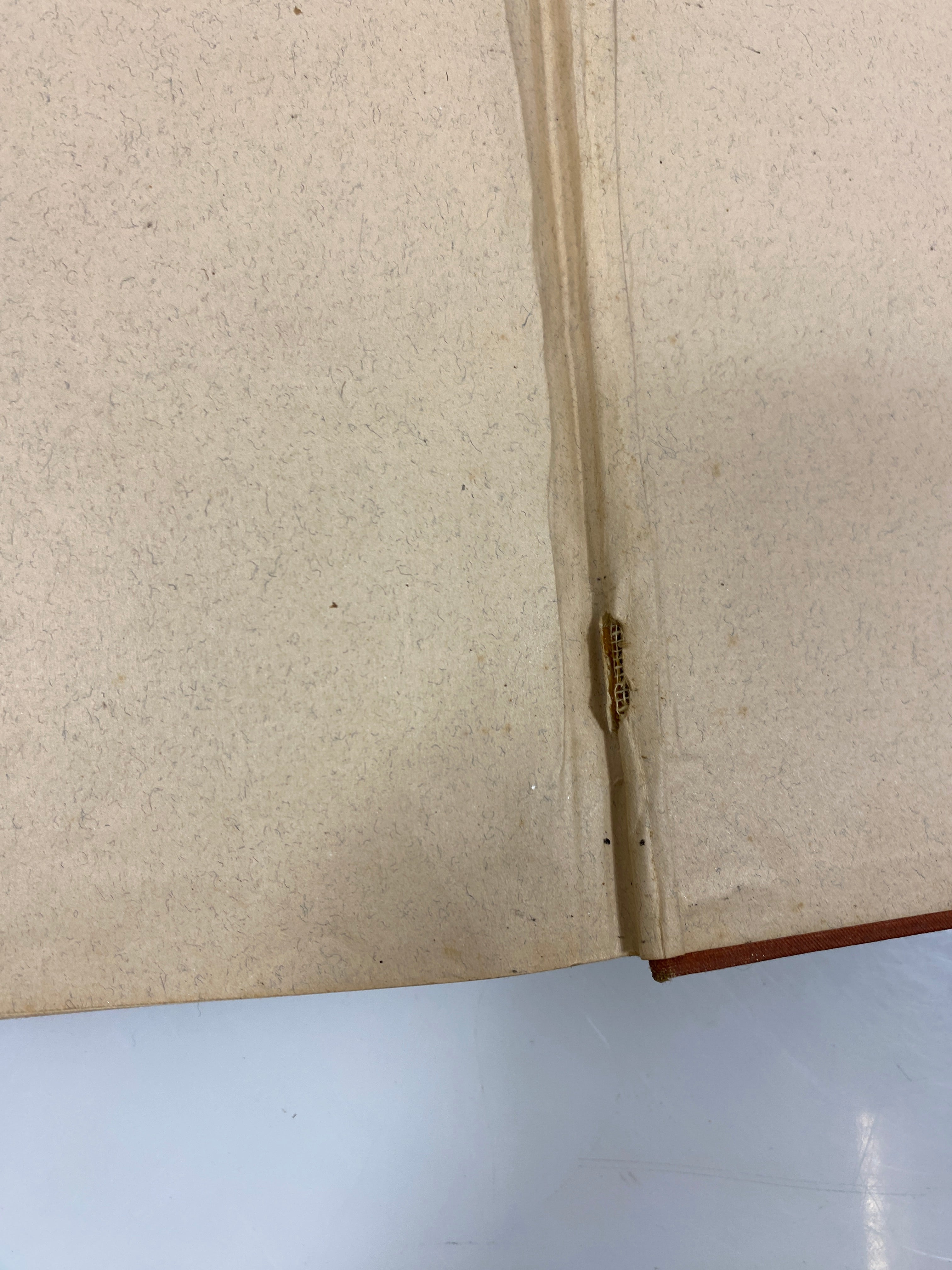 Cecil's Book of Natural History by Peabody 1881 HC