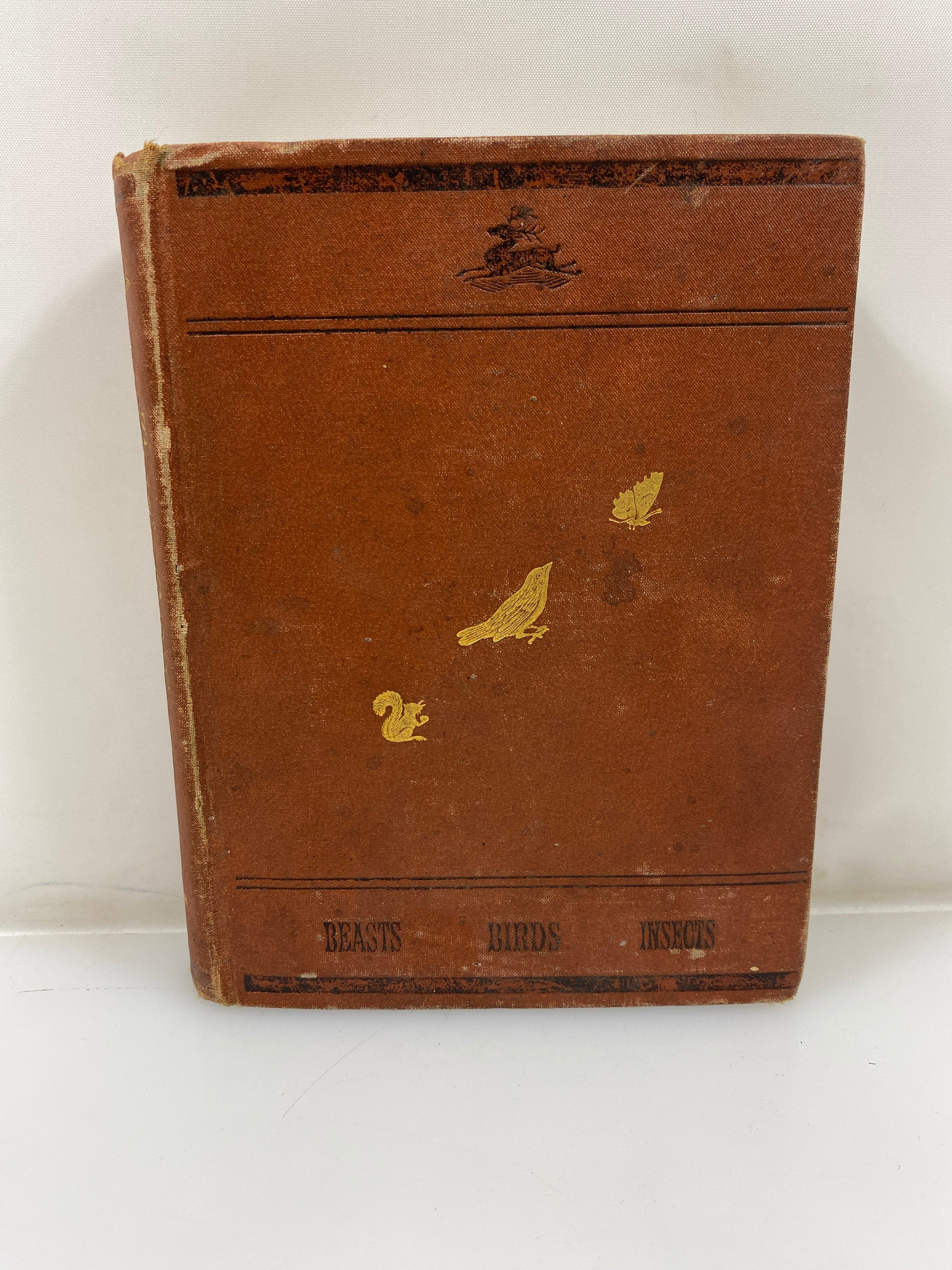 Cecil's Book of Natural History by Peabody 1881 HC