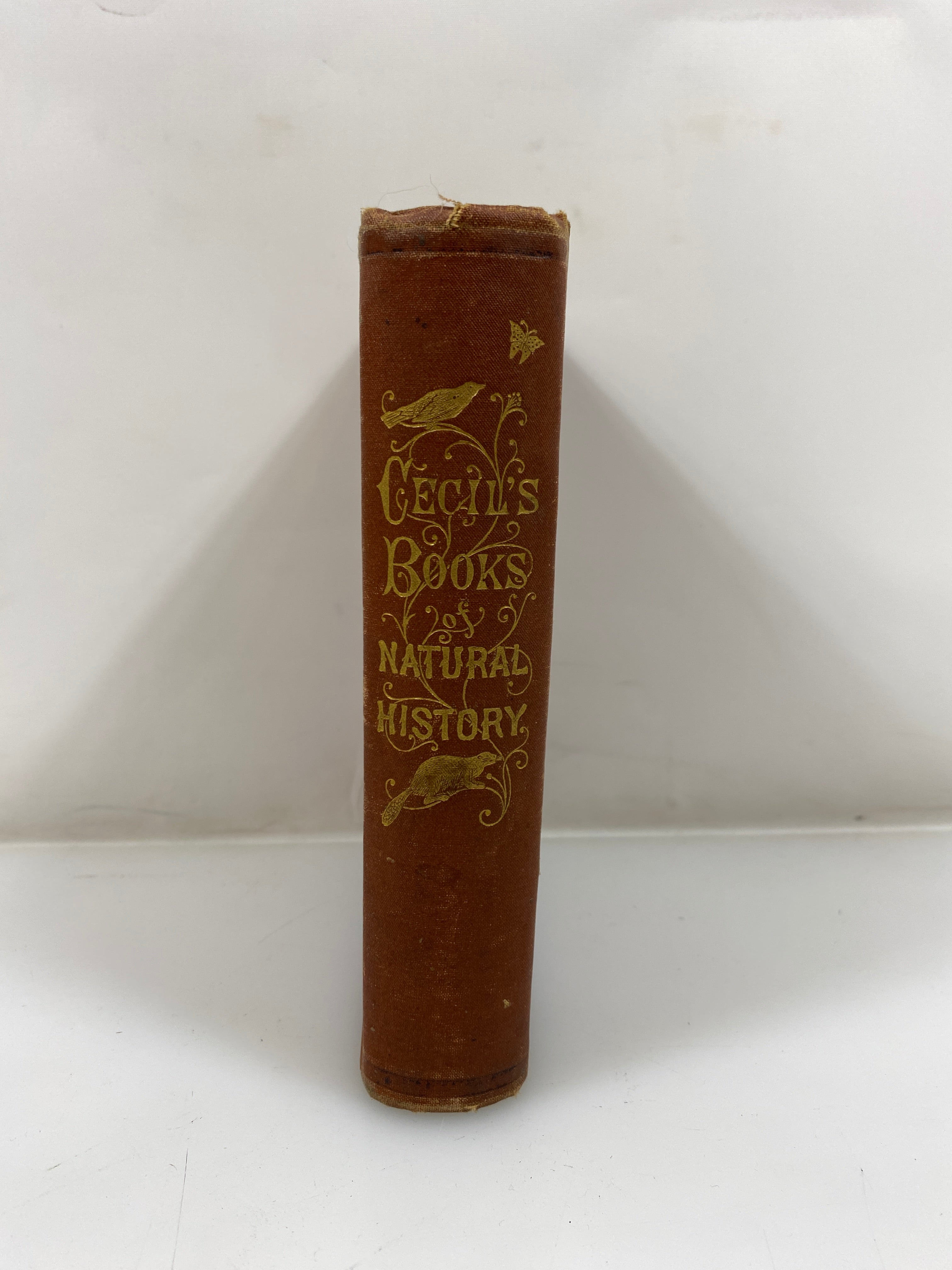 Cecil's Book of Natural History by Peabody 1881 HC