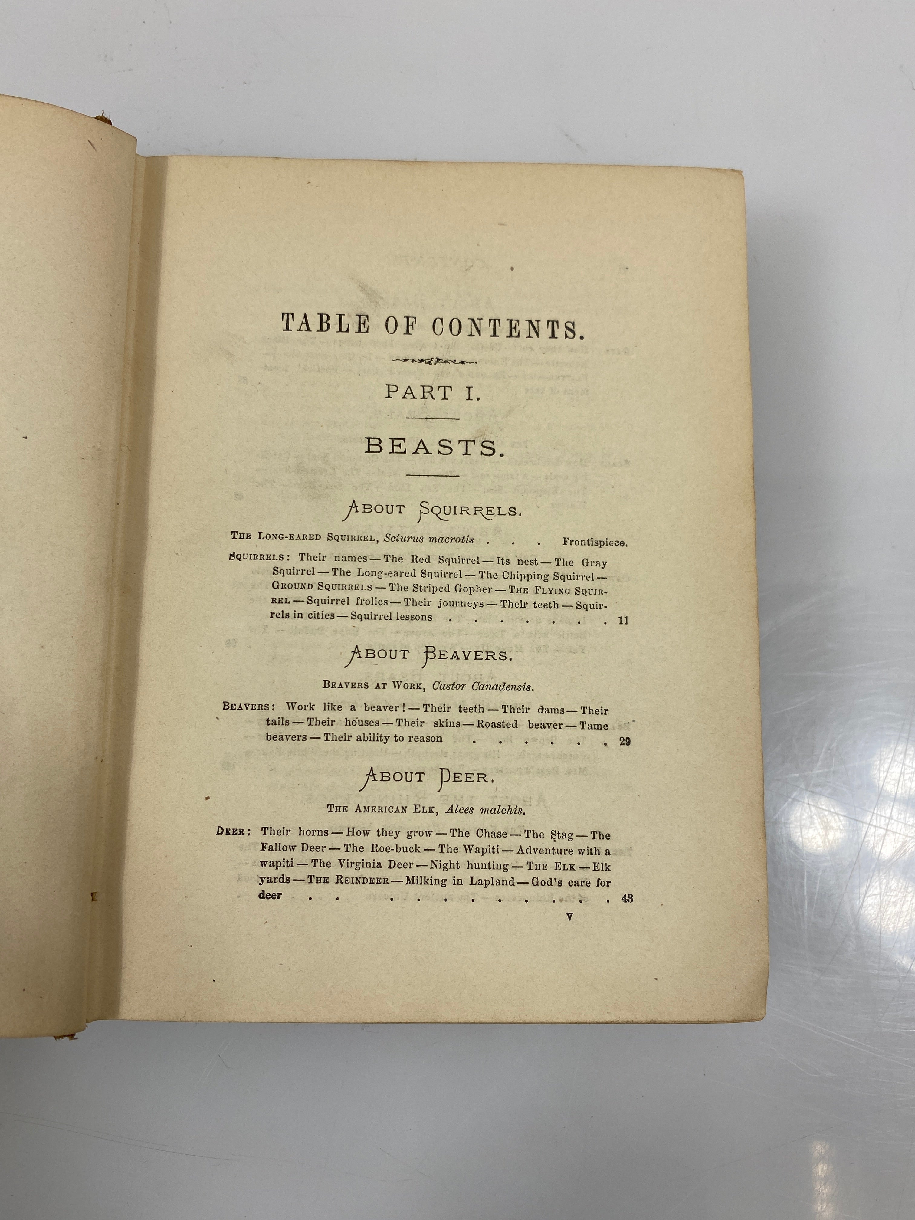 Cecil's Book of Natural History by Peabody 1881 HC