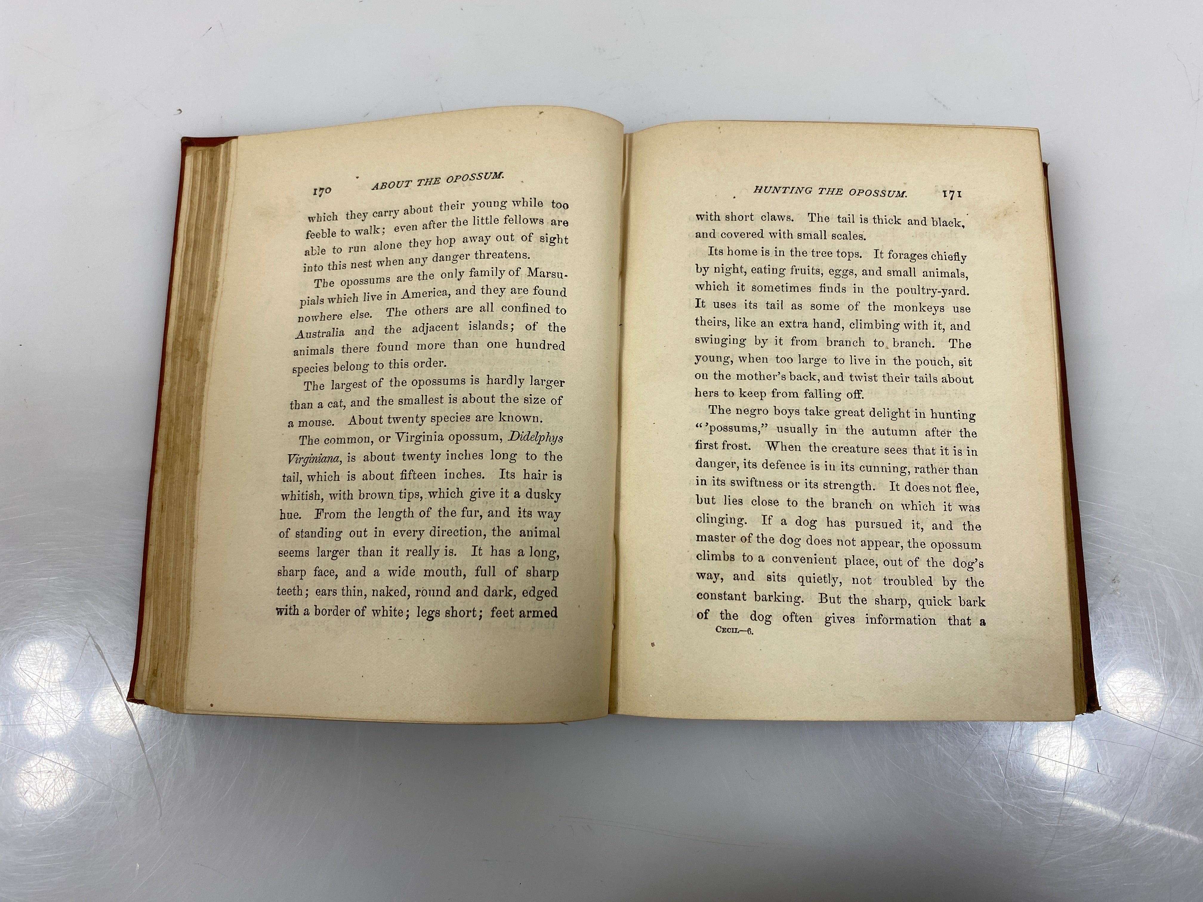 Cecil's Book of Natural History by Peabody 1881 HC