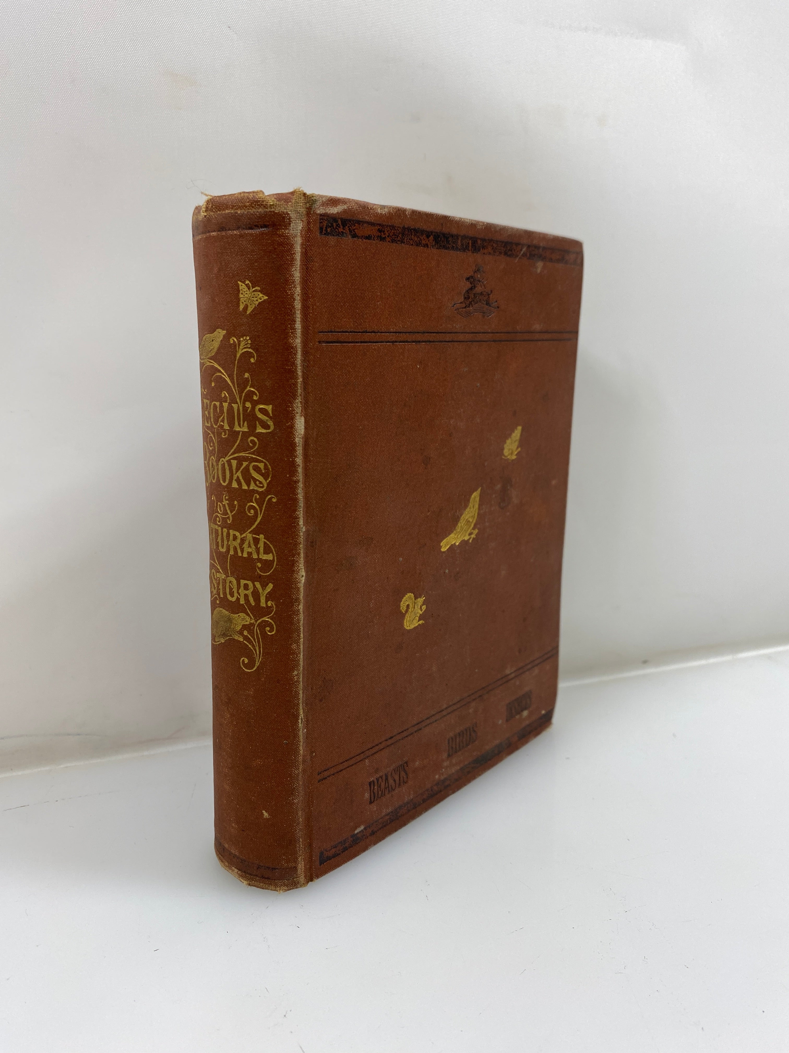 Cecil's Book of Natural History by Peabody 1881 HC