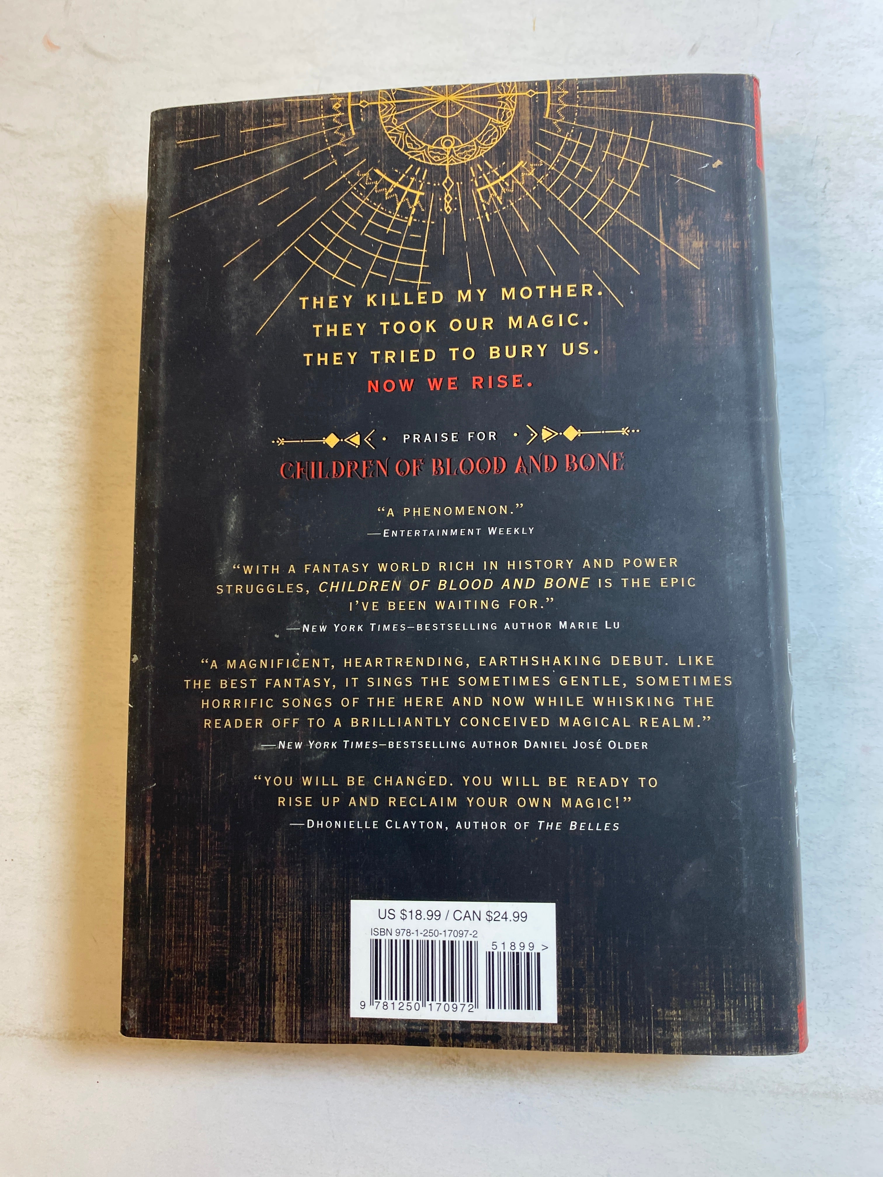 Children of Blood and Bone Tomi Adeyemi 2018 HCDJ