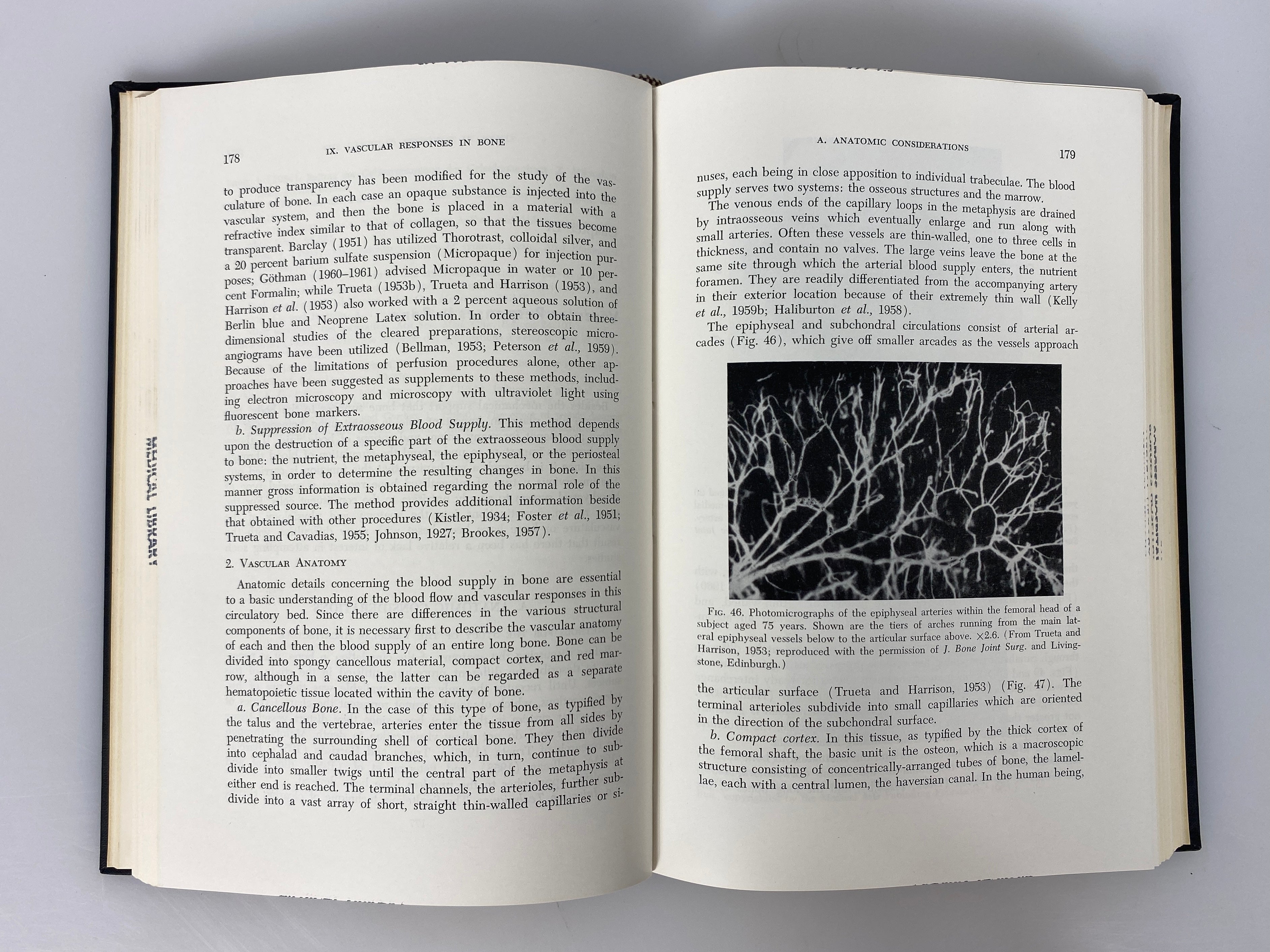 Circulation in the Extremities by Abramson 1967 Academic Press Ex-Library HC