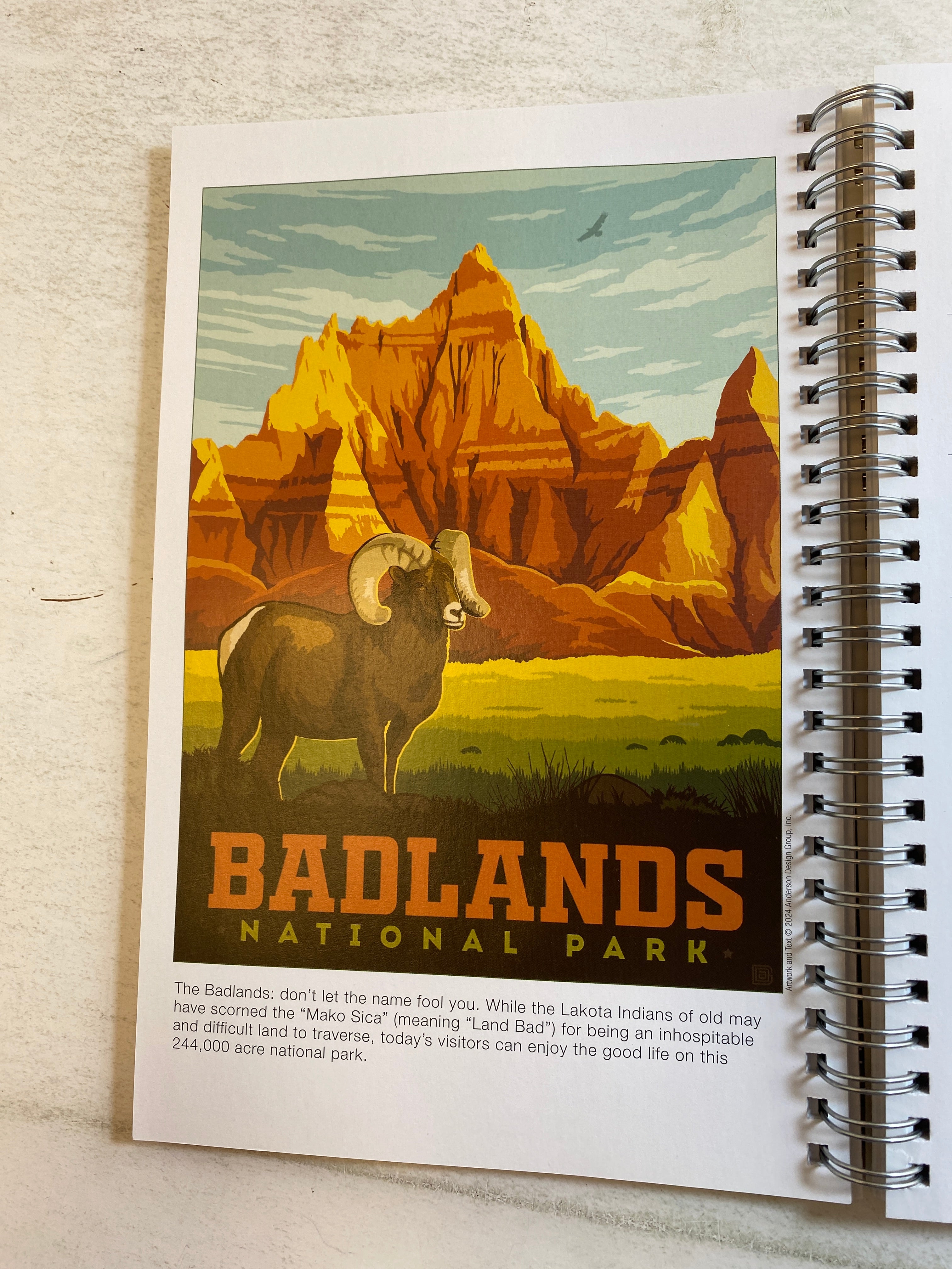Classic National Park Travel Poster 2025 Calendar/Planner