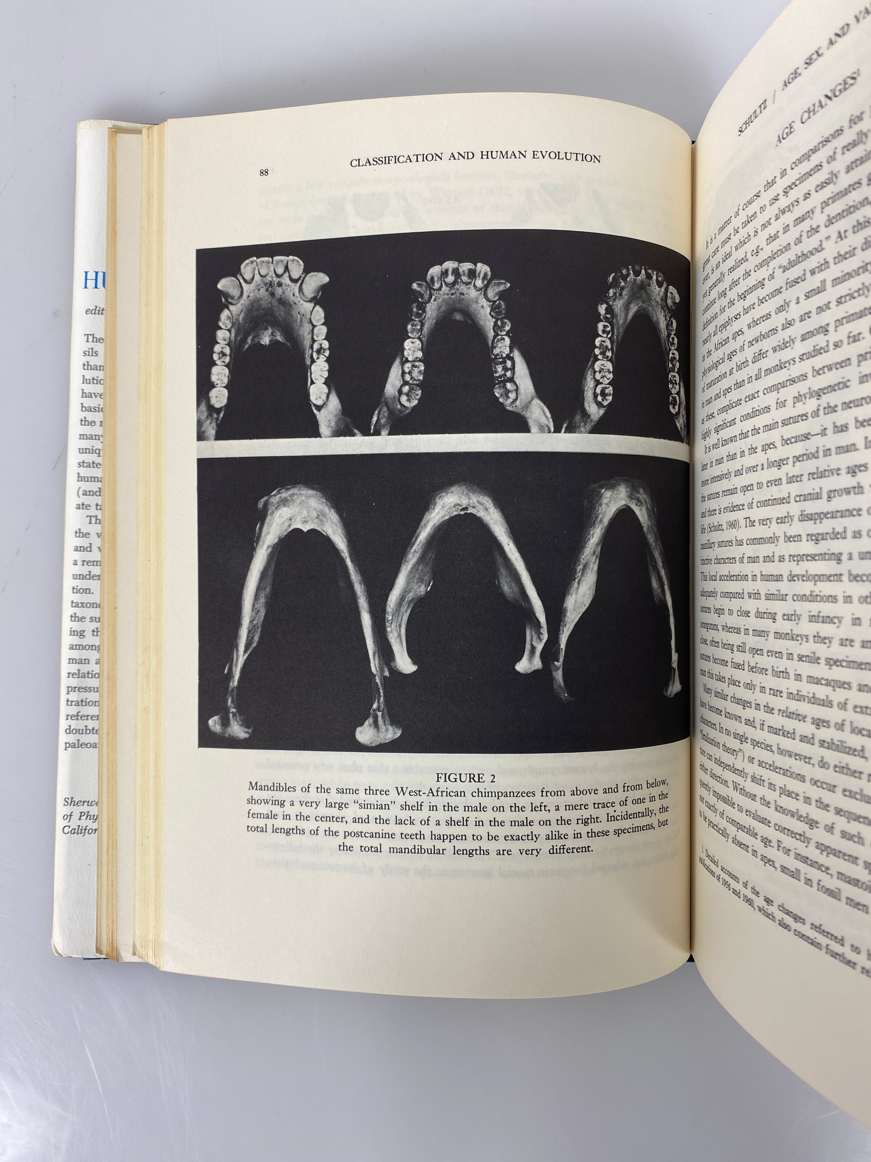 Classification and Human Evolution by Sherwood Washburn 1963 1st Ed HC DJ