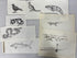 Collection of 165+ Pencil/Pen Hand Drawn Animal Pictures