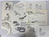 Collection of 165+ Pencil/Pen Hand Drawn Animal Pictures