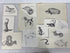 Collection of 165+ Pencil/Pen Hand Drawn Animal Pictures