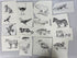 Collection of 165+ Pencil/Pen Hand Drawn Animal Pictures