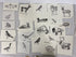 Collection of 165+ Pencil/Pen Hand Drawn Animal Pictures