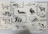 Collection of 165+ Pencil/Pen Hand Drawn Animal Pictures