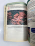 Colorado & Utah TourBook 2009 AAA Publishing SC