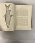 Commissioner's Report Fish & Game of Indiana 1908 Antique Illustrated HC