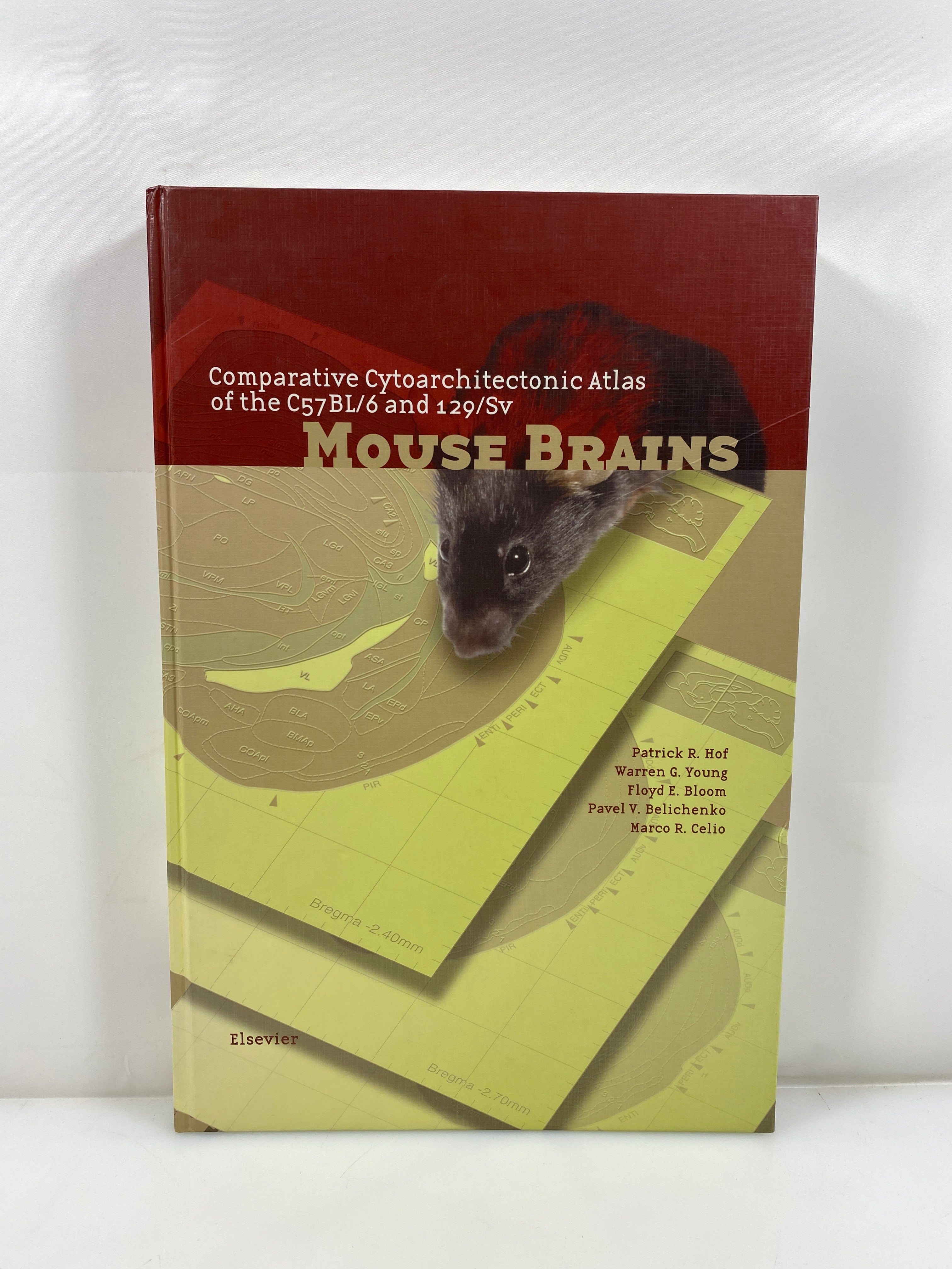 Comparative Cytoarchitectonic Atlas of C57BL/6 & 129/Sv Mouse Brains Hof 2000 HC