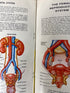 Complete 18 Volume Set: The New Illustrated Medical & Health Encyclopedia 1970