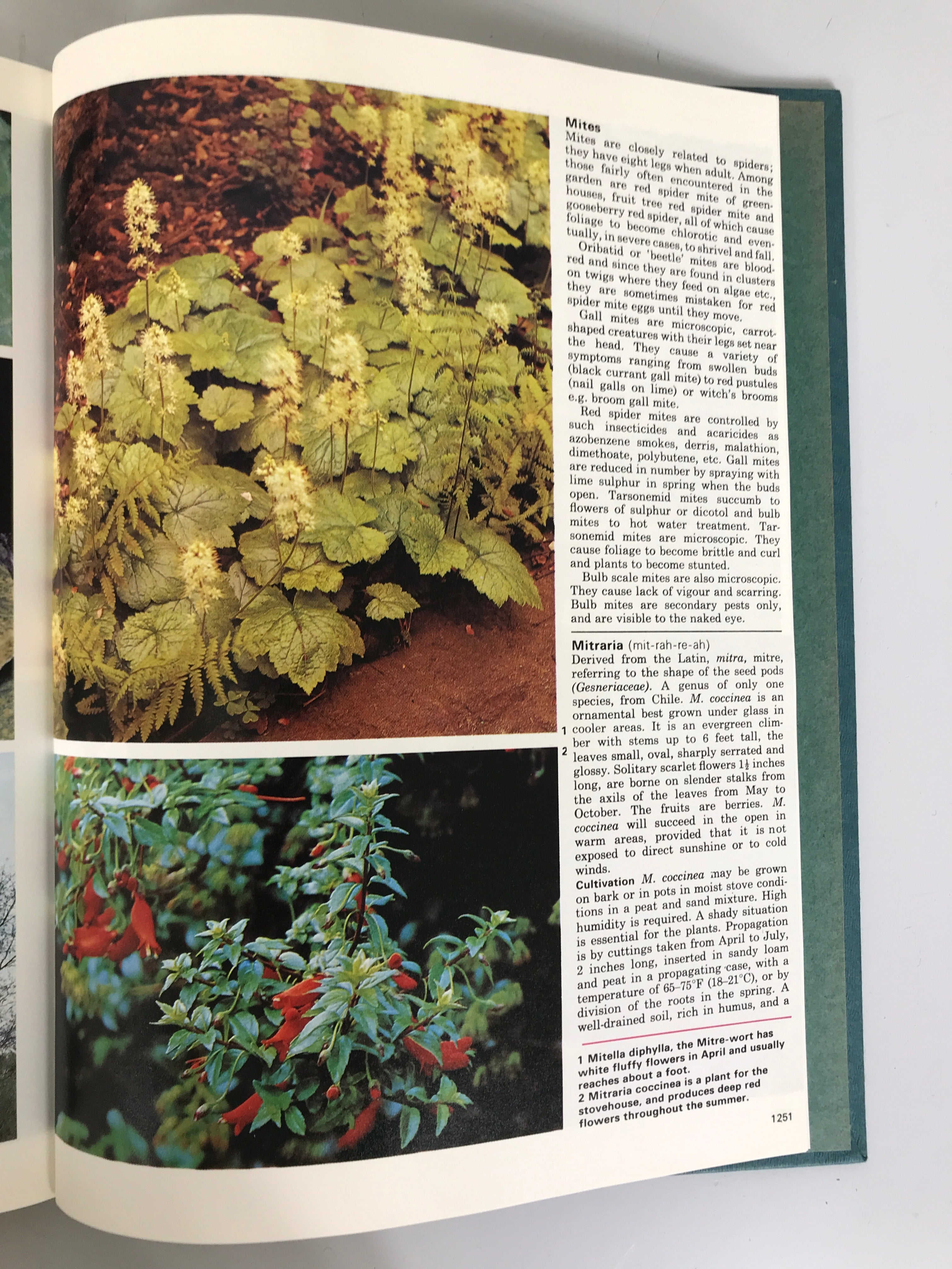 Complete 20 Vol Set: Marshall Cavendish Encyclopedia of Gardening 1968 HC Ex-Lib