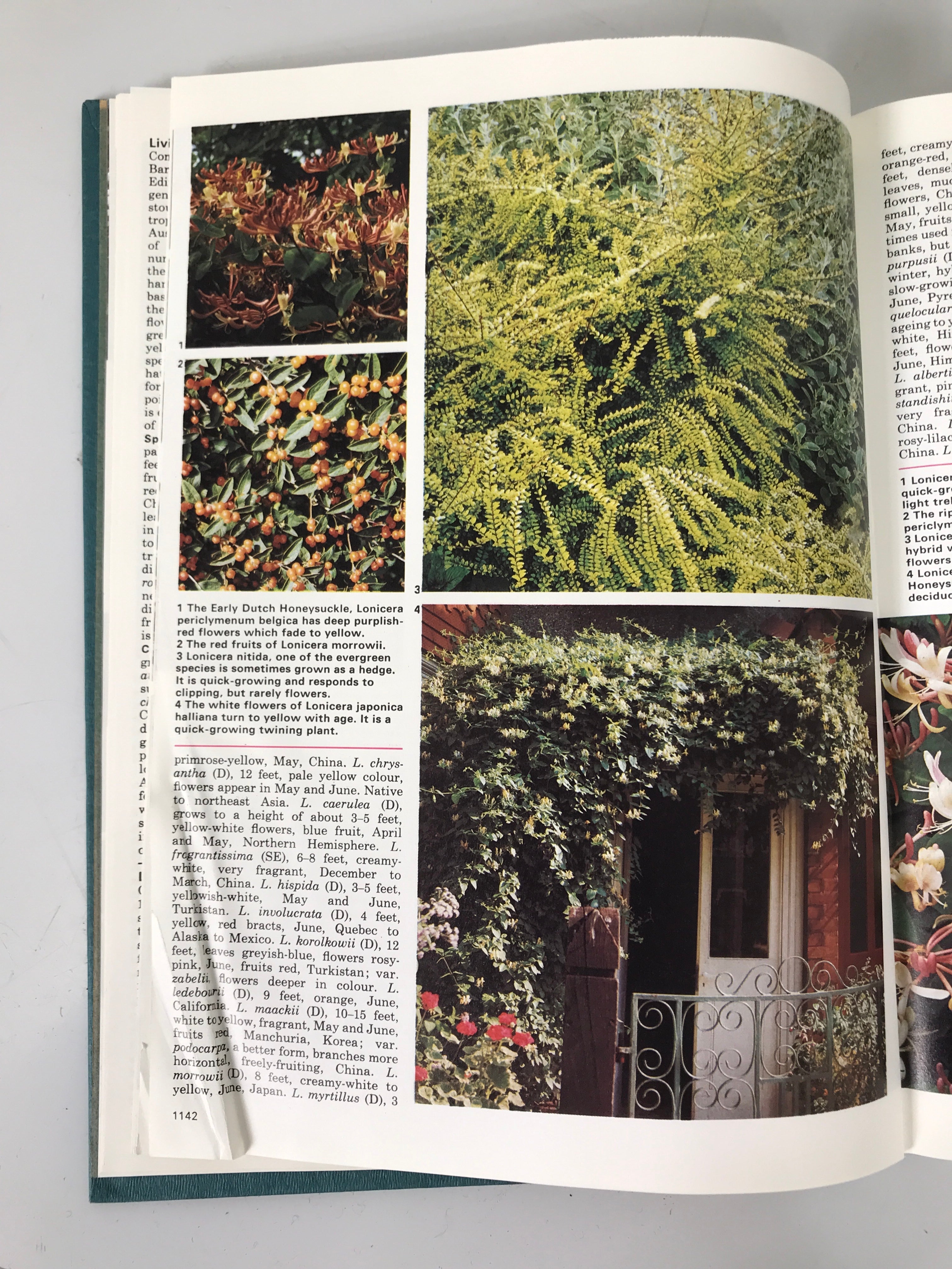 Complete 20 Vol Set: Marshall Cavendish Encyclopedia of Gardening 1968 HC Ex-Lib