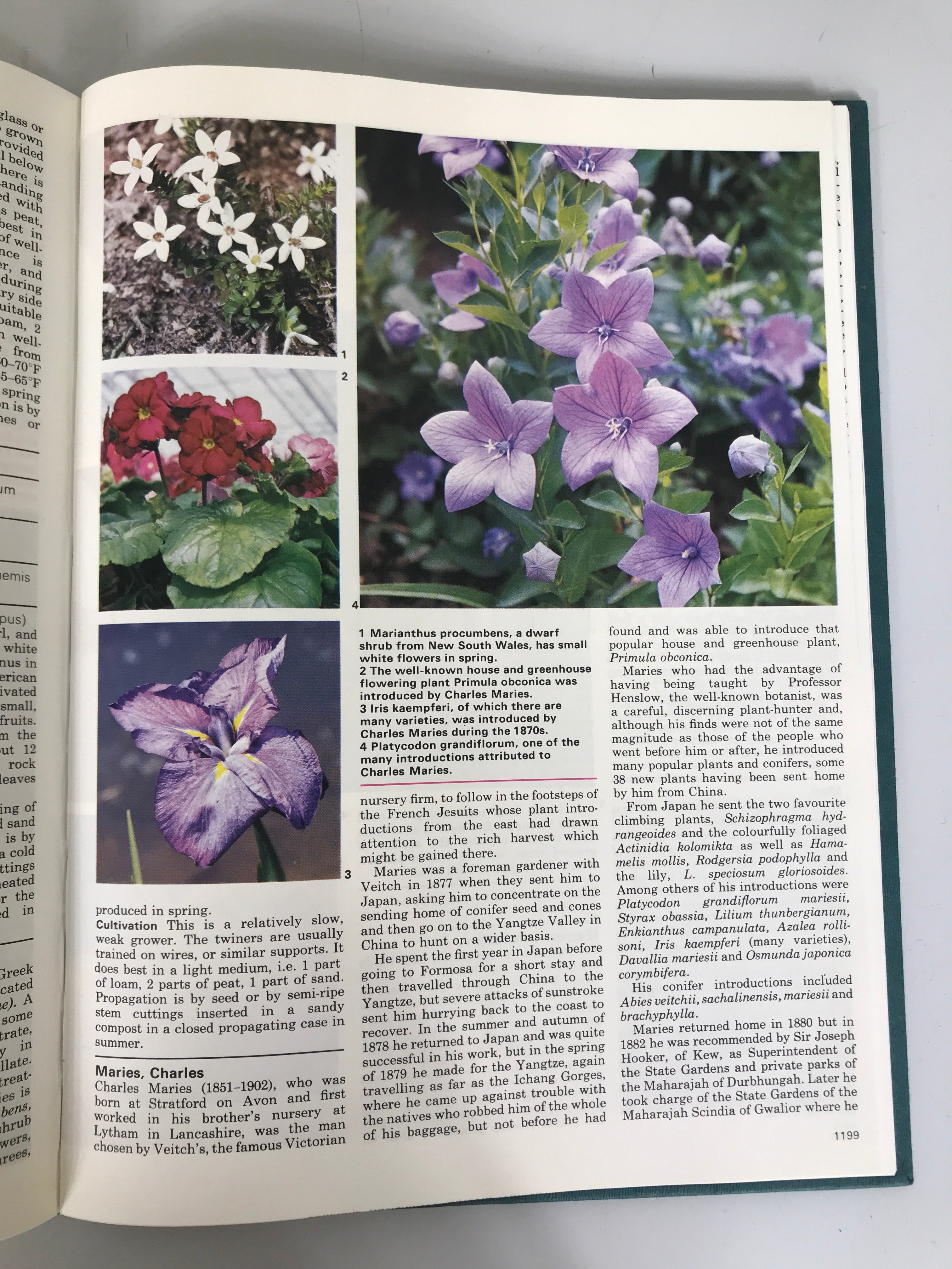 Complete 20 Vol Set: Marshall Cavendish Encyclopedia of Gardening 1968 HC Ex-Lib