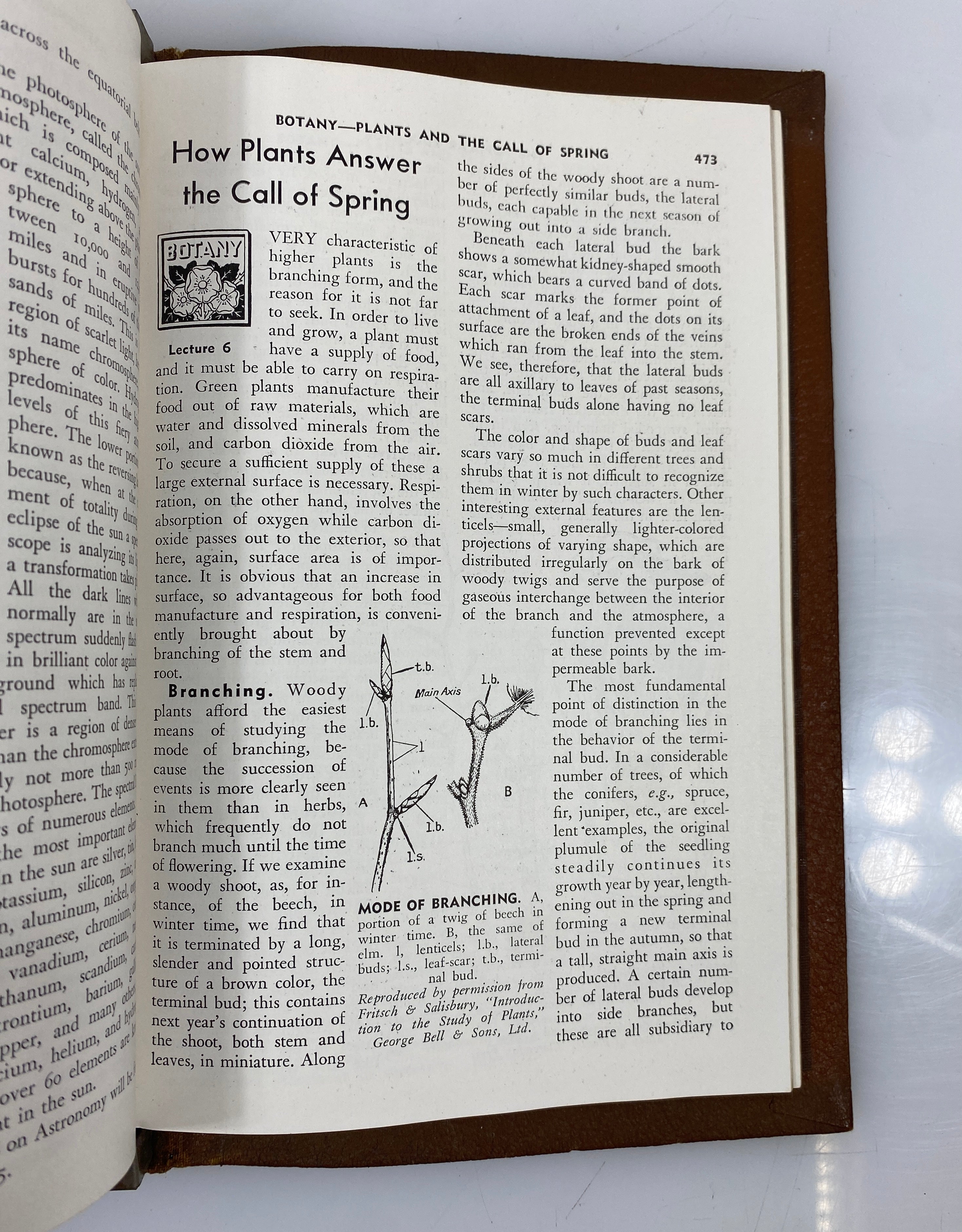 Complete 7 Volume Set: The Popular Educator (1-54 w Index) 1938 HC Binders