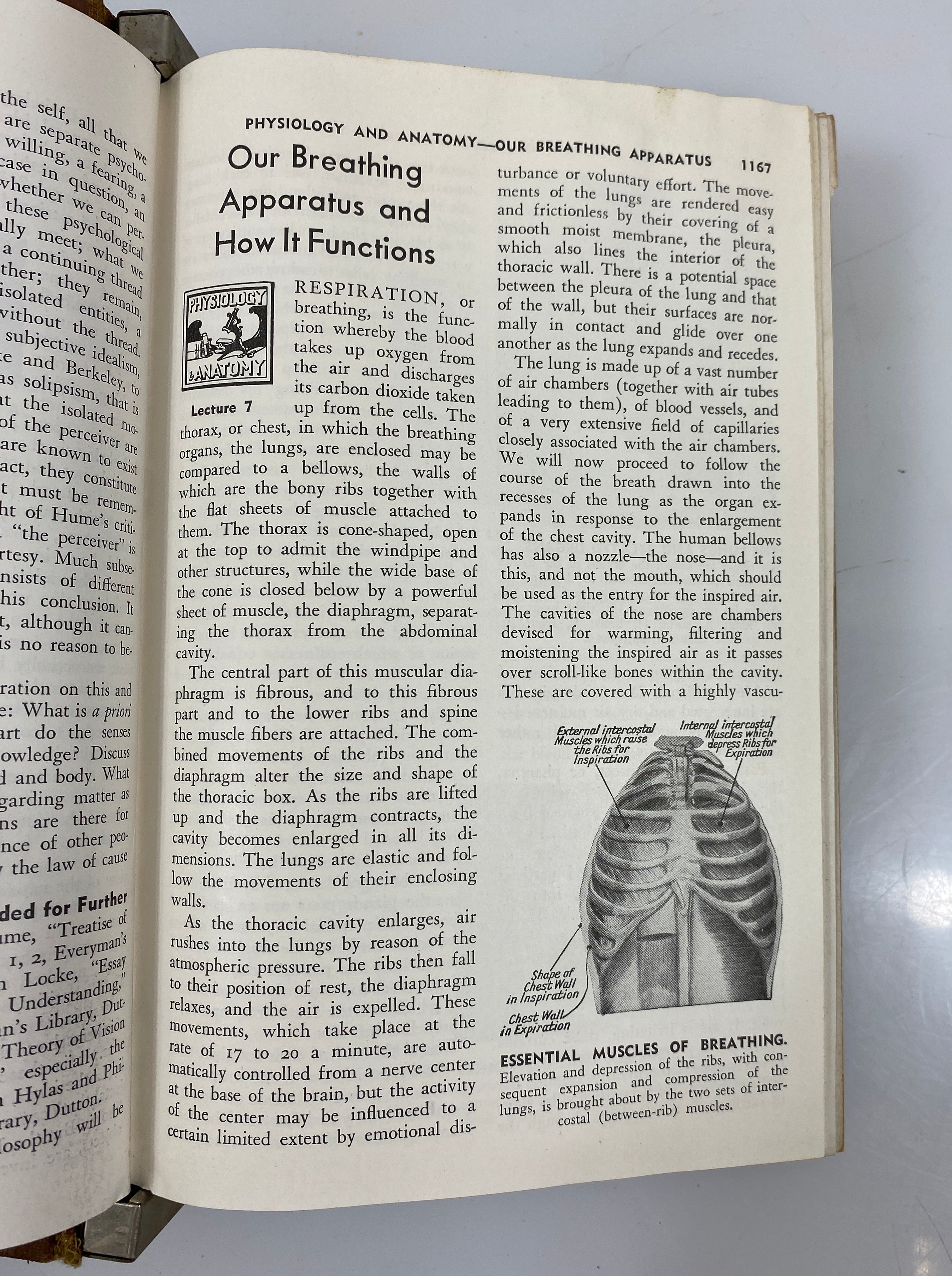 Complete 7 Volume Set: The Popular Educator (1-54 w Index) 1938 HC Binders