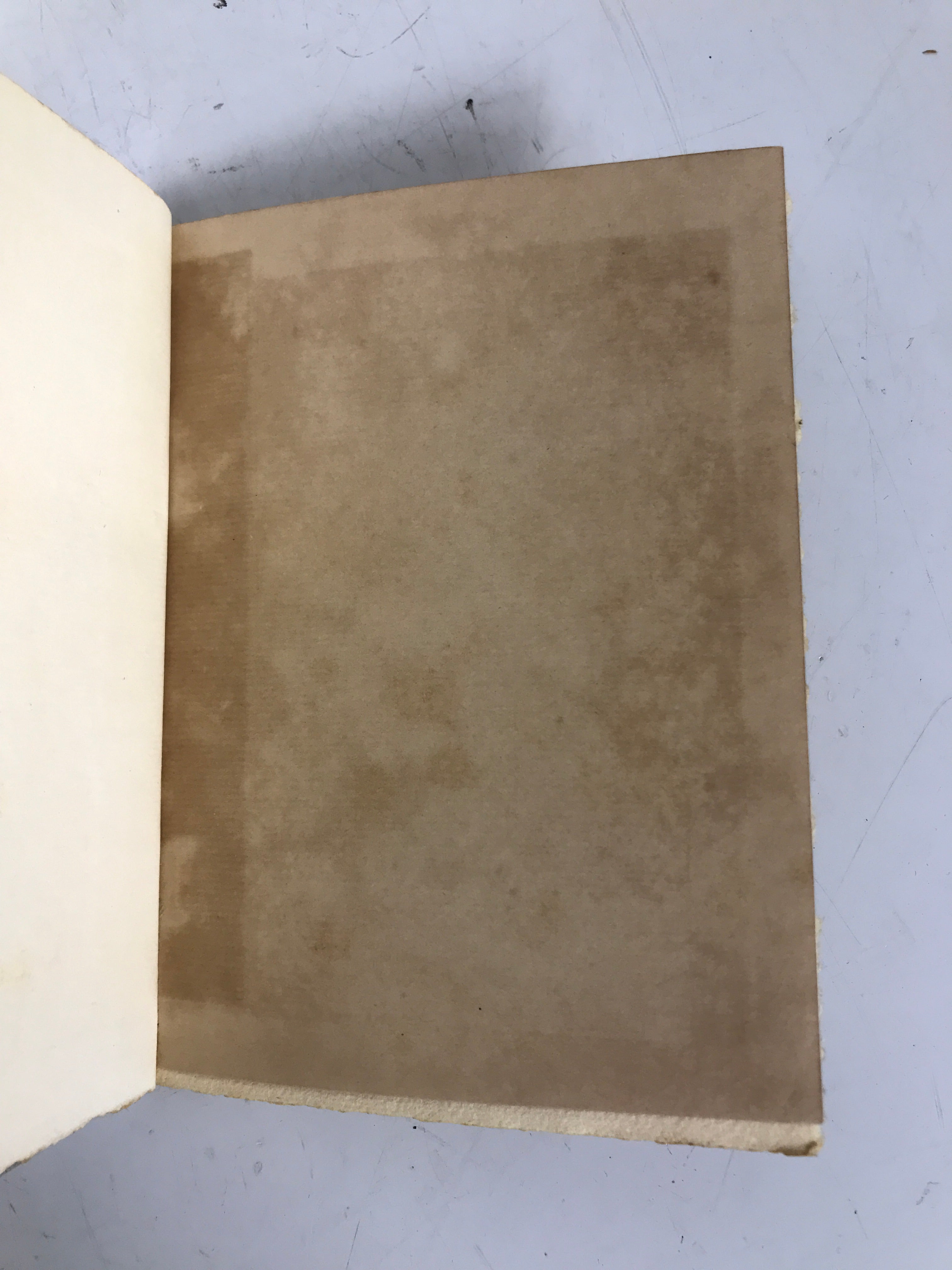 Correggio Elbert Hubbard/Roycrofters 1902 Homes of Eminent Artists HC