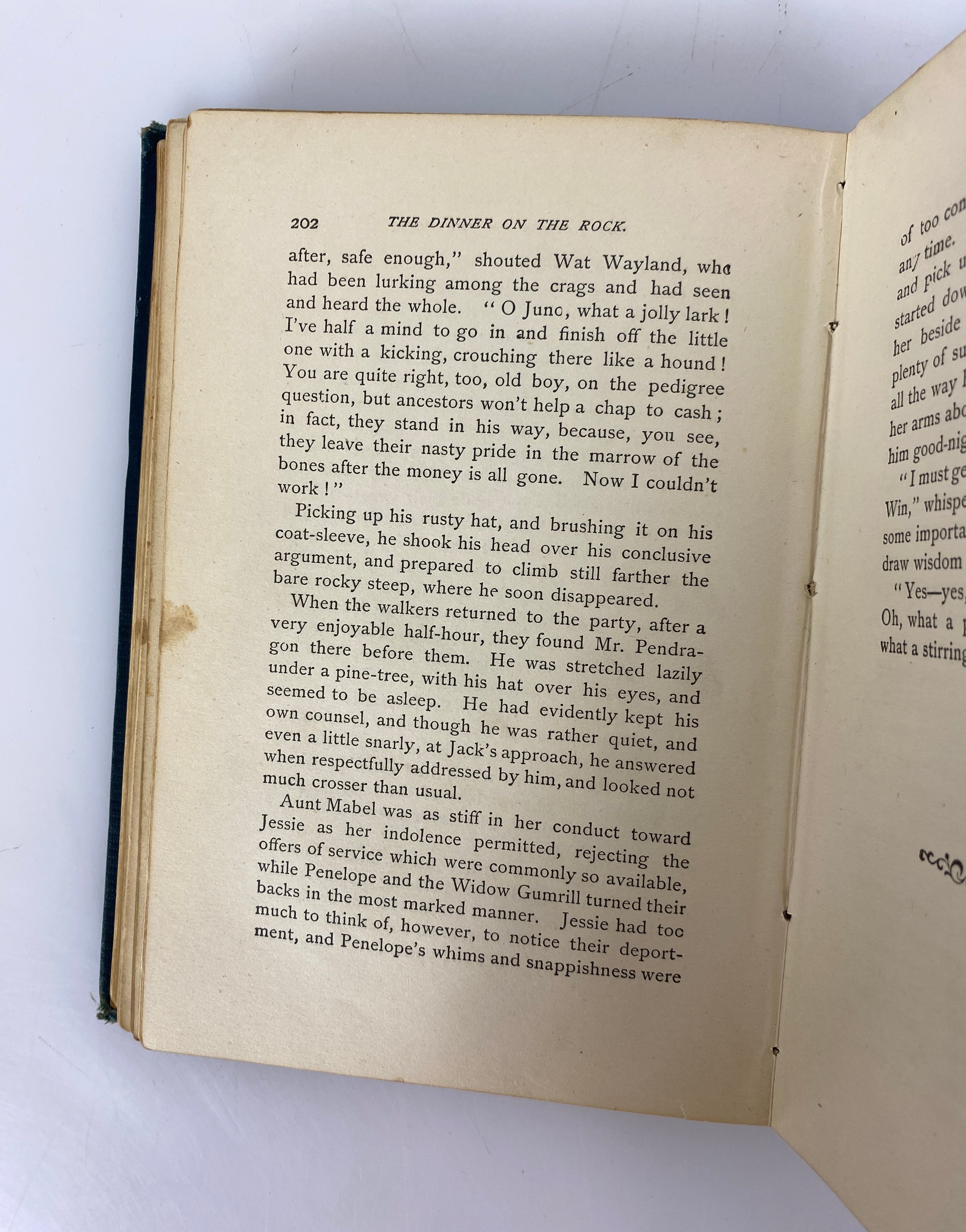 Courting & Farming/Which is the Gentleman? by Julie P. Smith 1882 Antique HC