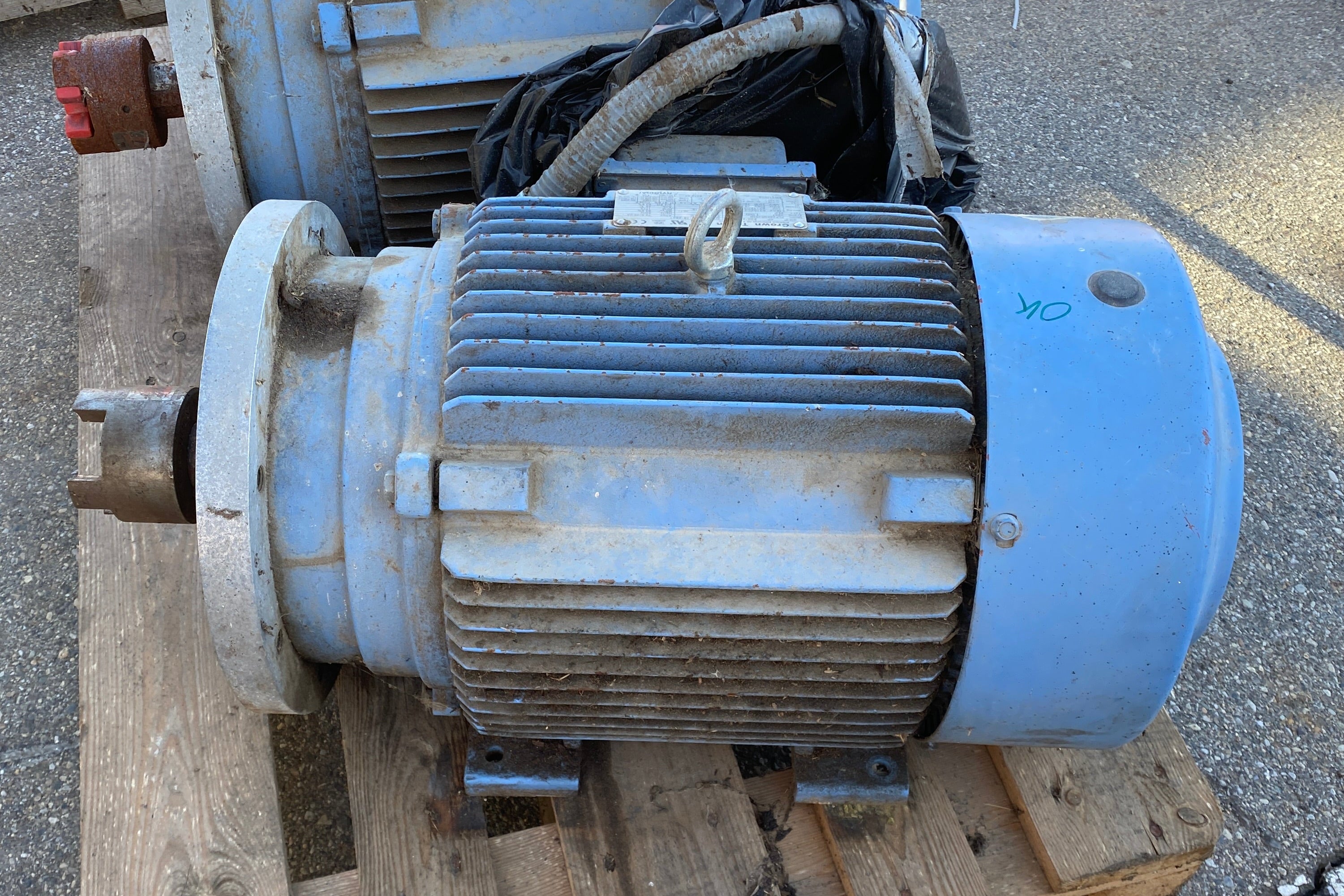 Crown Triton 30 HP Electric Motor #2