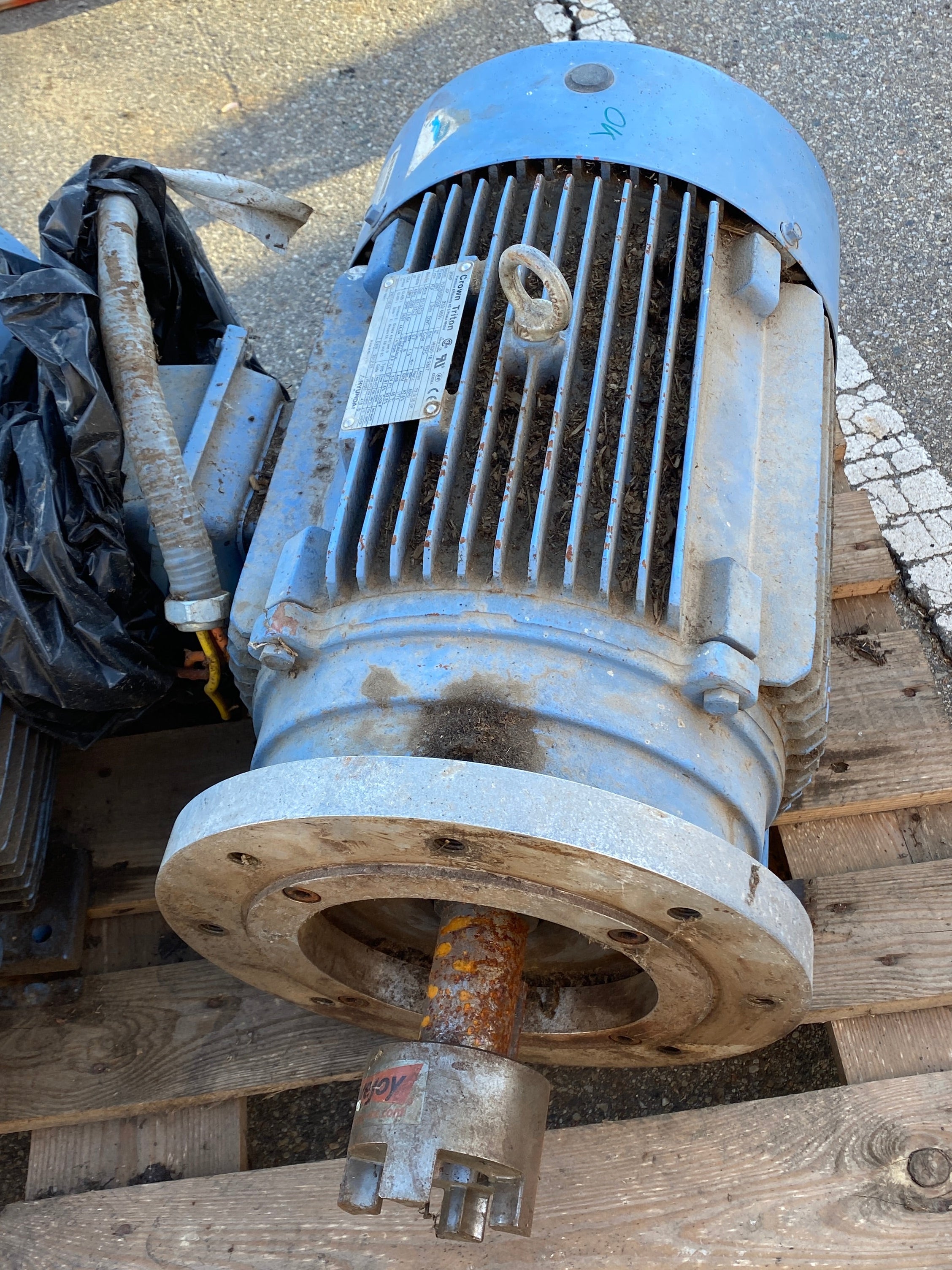 Crown Triton 30 HP Electric Motor #2