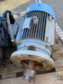 Crown Triton 30 HP Electric Motor #2
