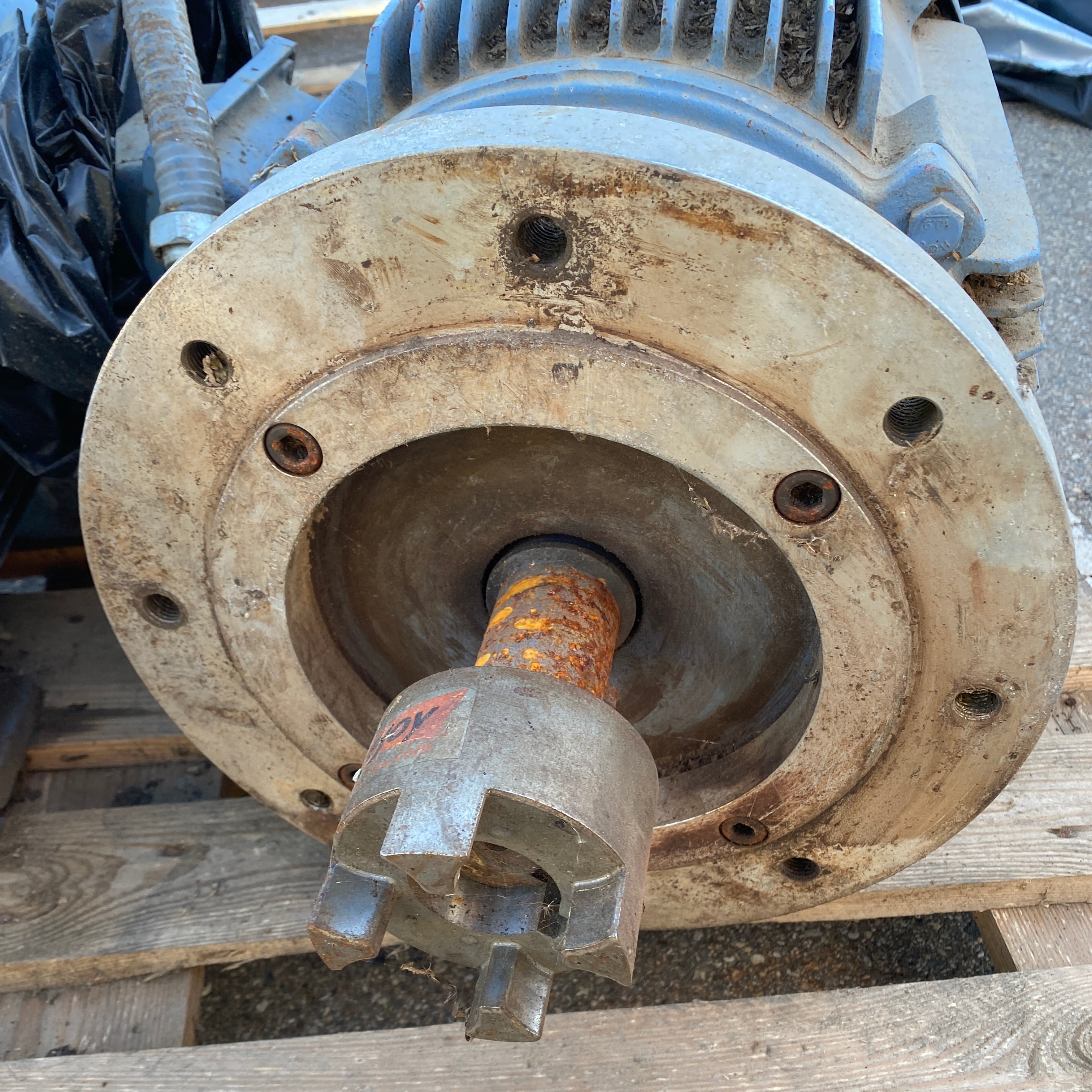 Crown Triton 30 HP Electric Motor #2