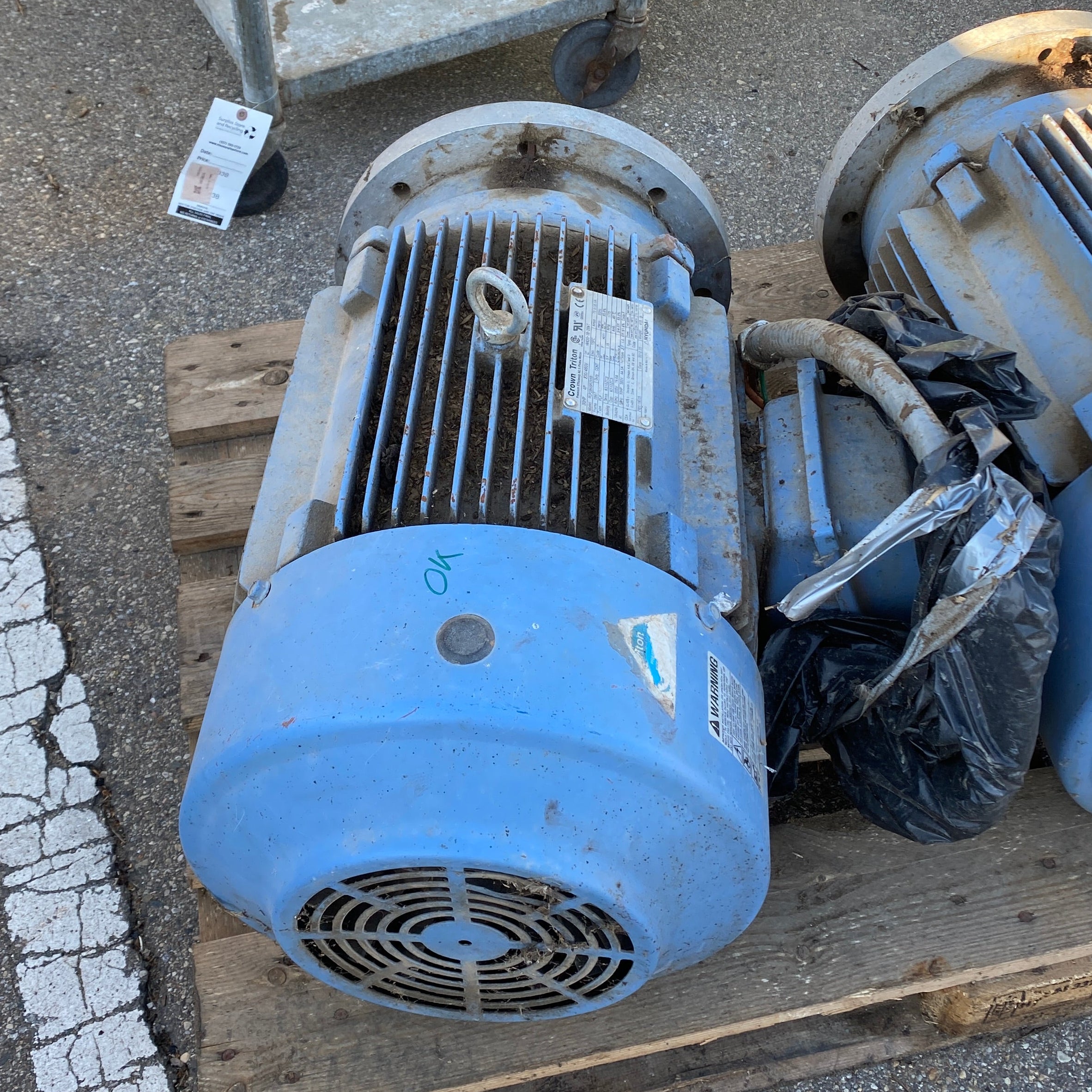Crown Triton 30 HP Electric Motor #2
