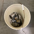 Curtis #35295 Industrial Air Compressor