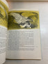 D'Aulaire's Norse Gods and Giants SC 1986