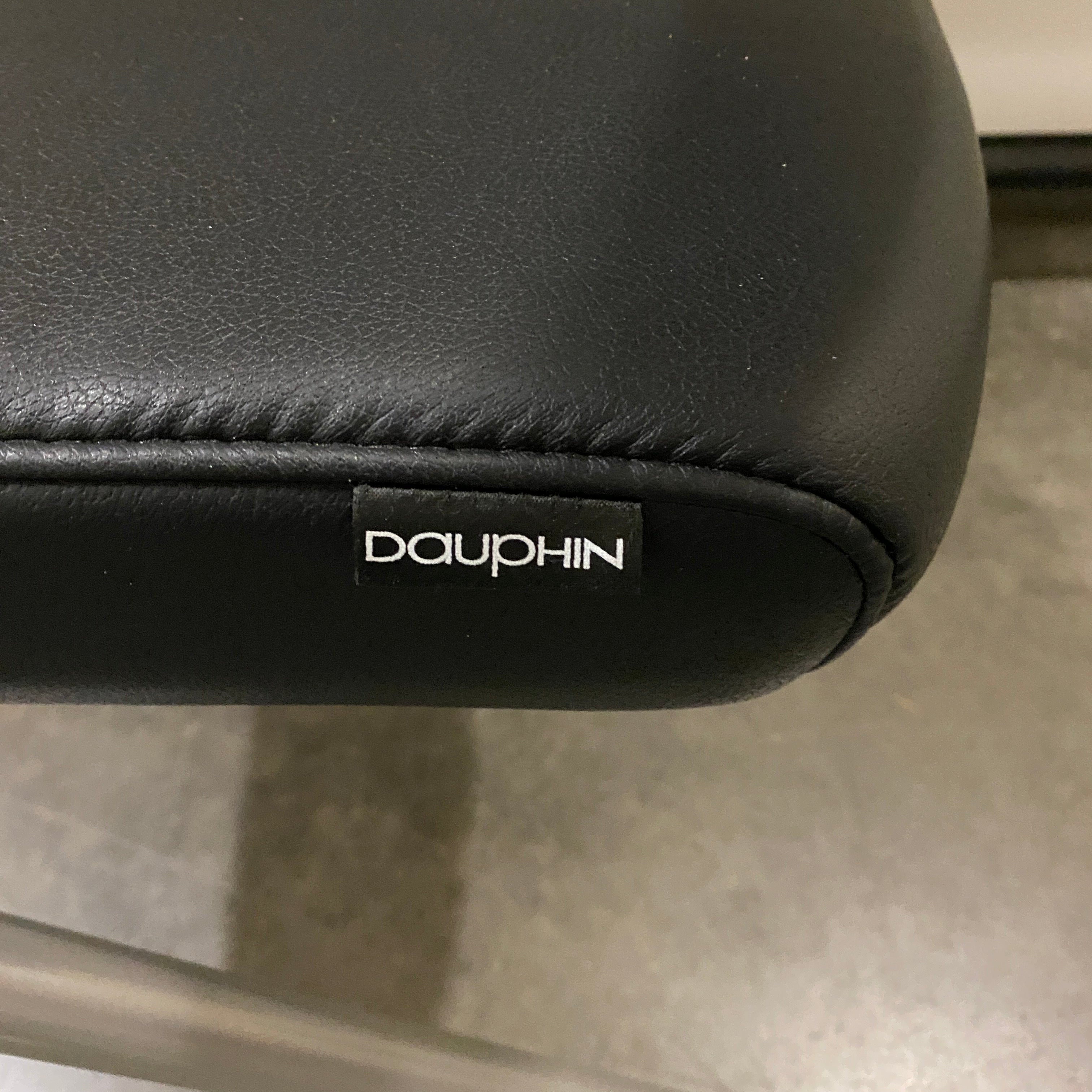 Dauprin Black Folding/Rolling Chair