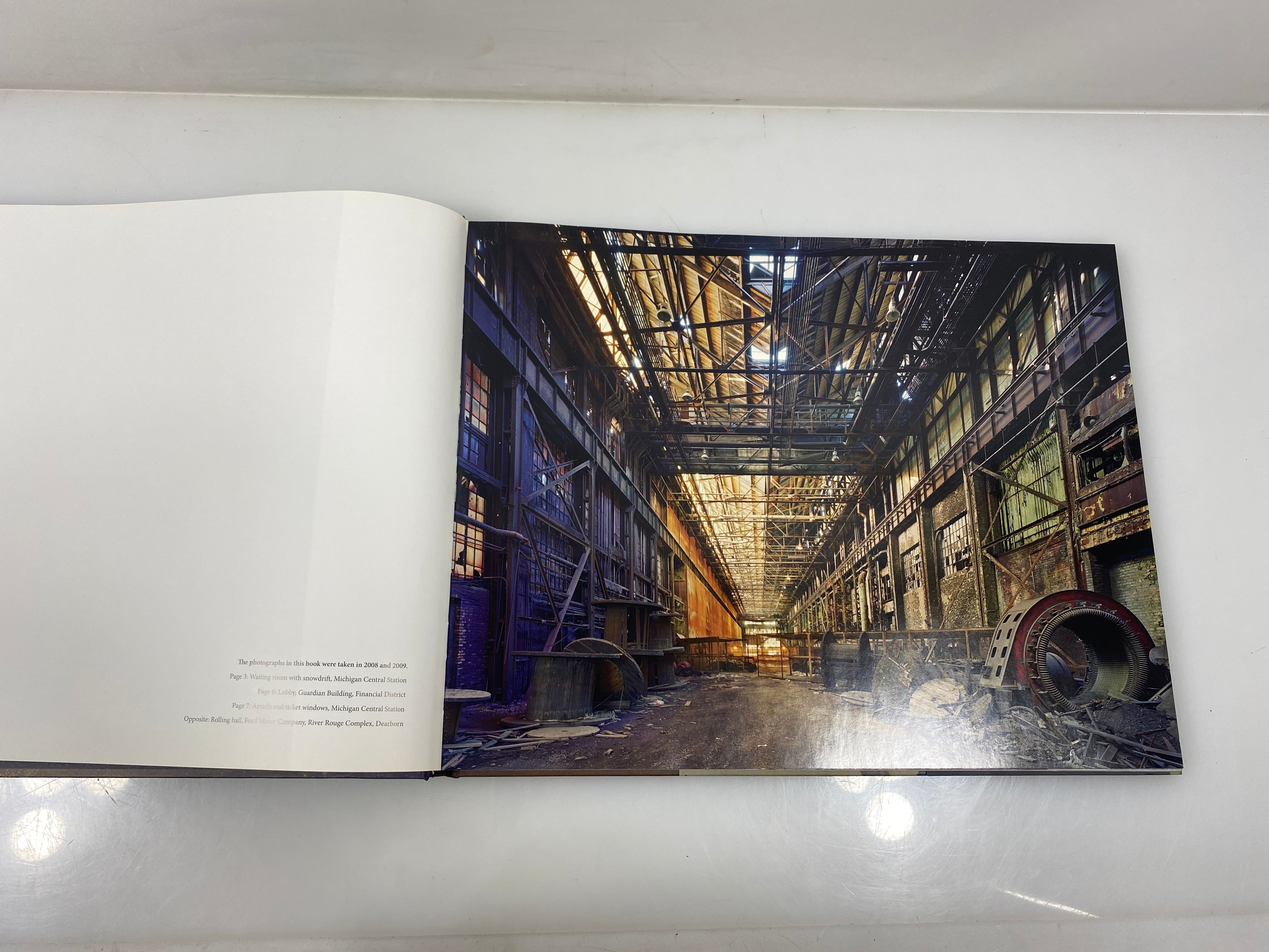 Detroit Disassembled by Levine/Moore 2010 HCDJ