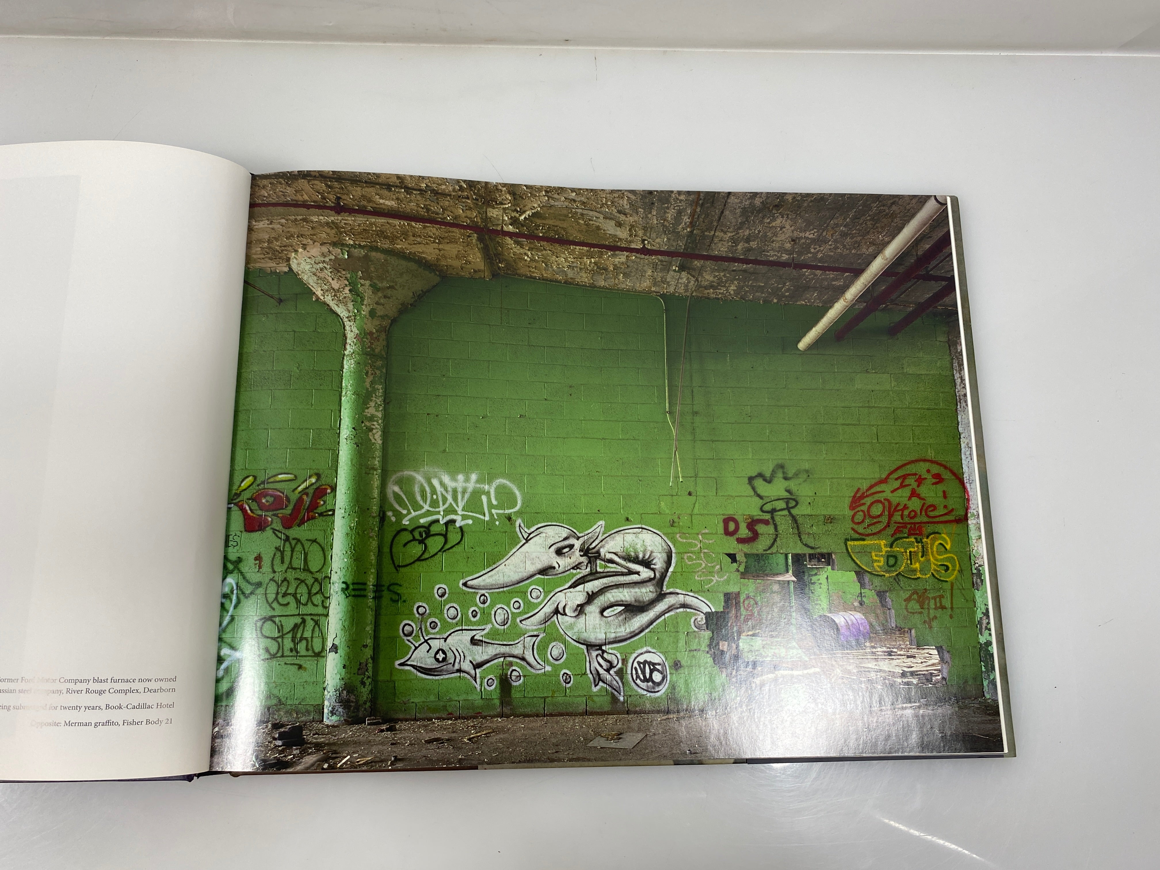 Detroit Disassembled by Levine/Moore 2010 HCDJ