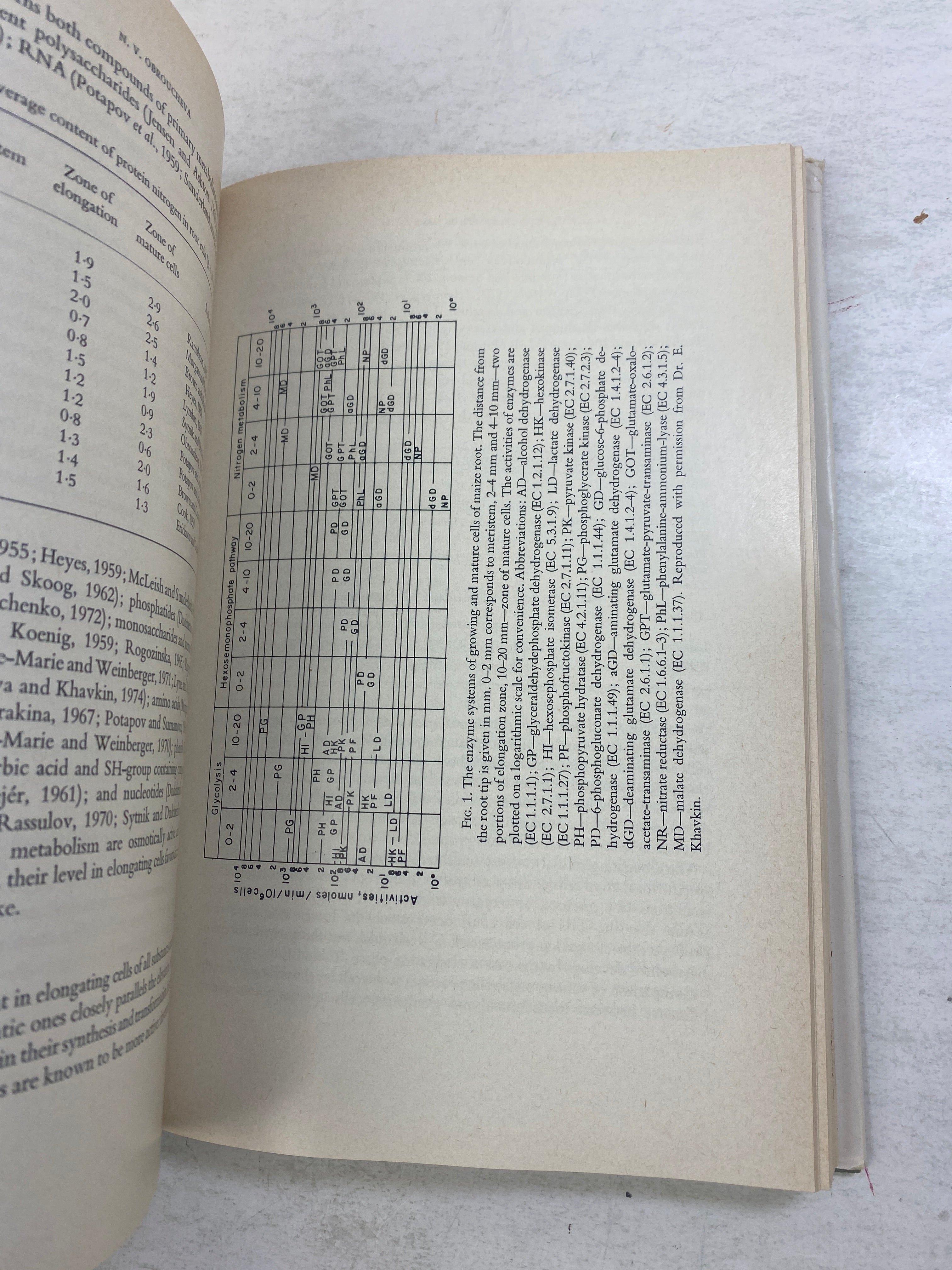 Development and Function of Roots James Beard Collection HCDJ 1975