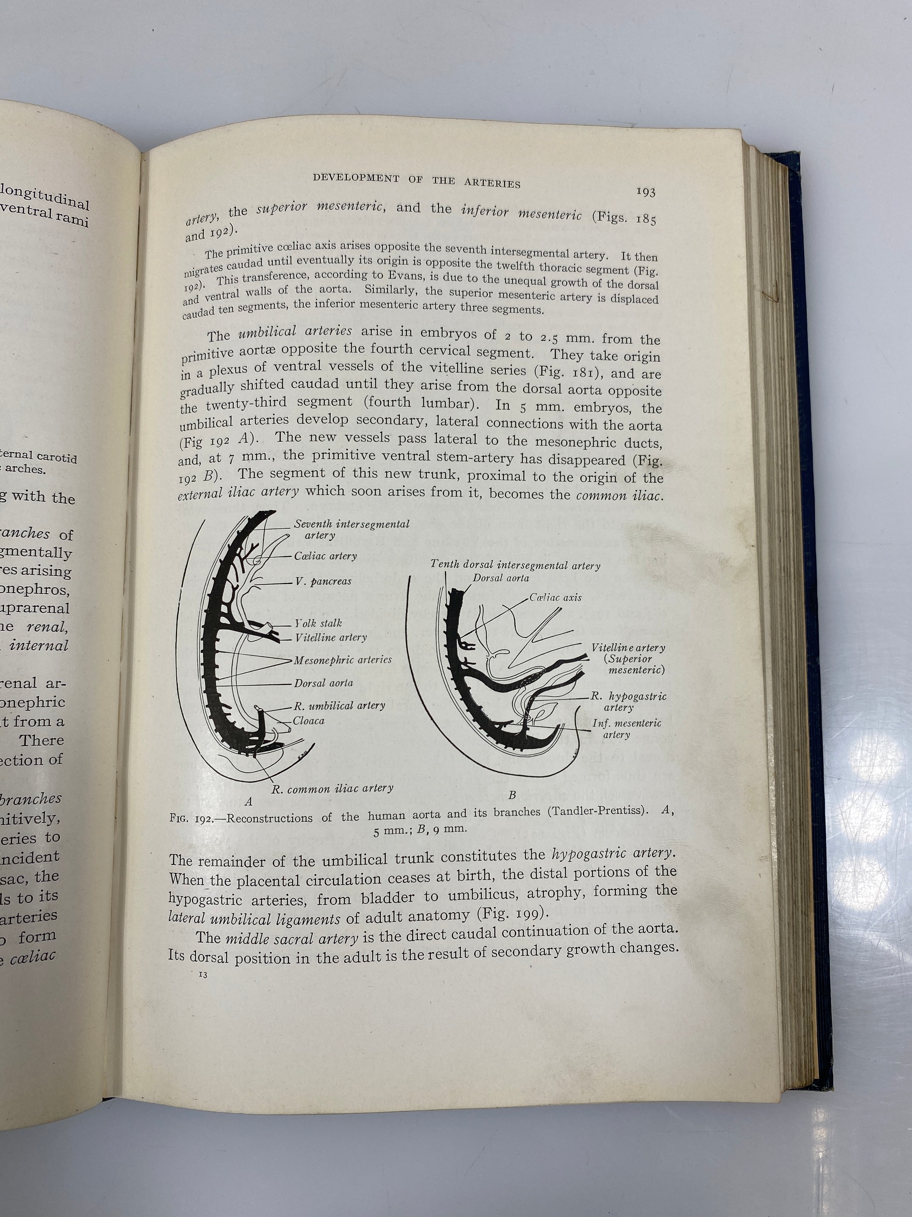 Developmental Anatomy Arey WB Saunders 1925 HC