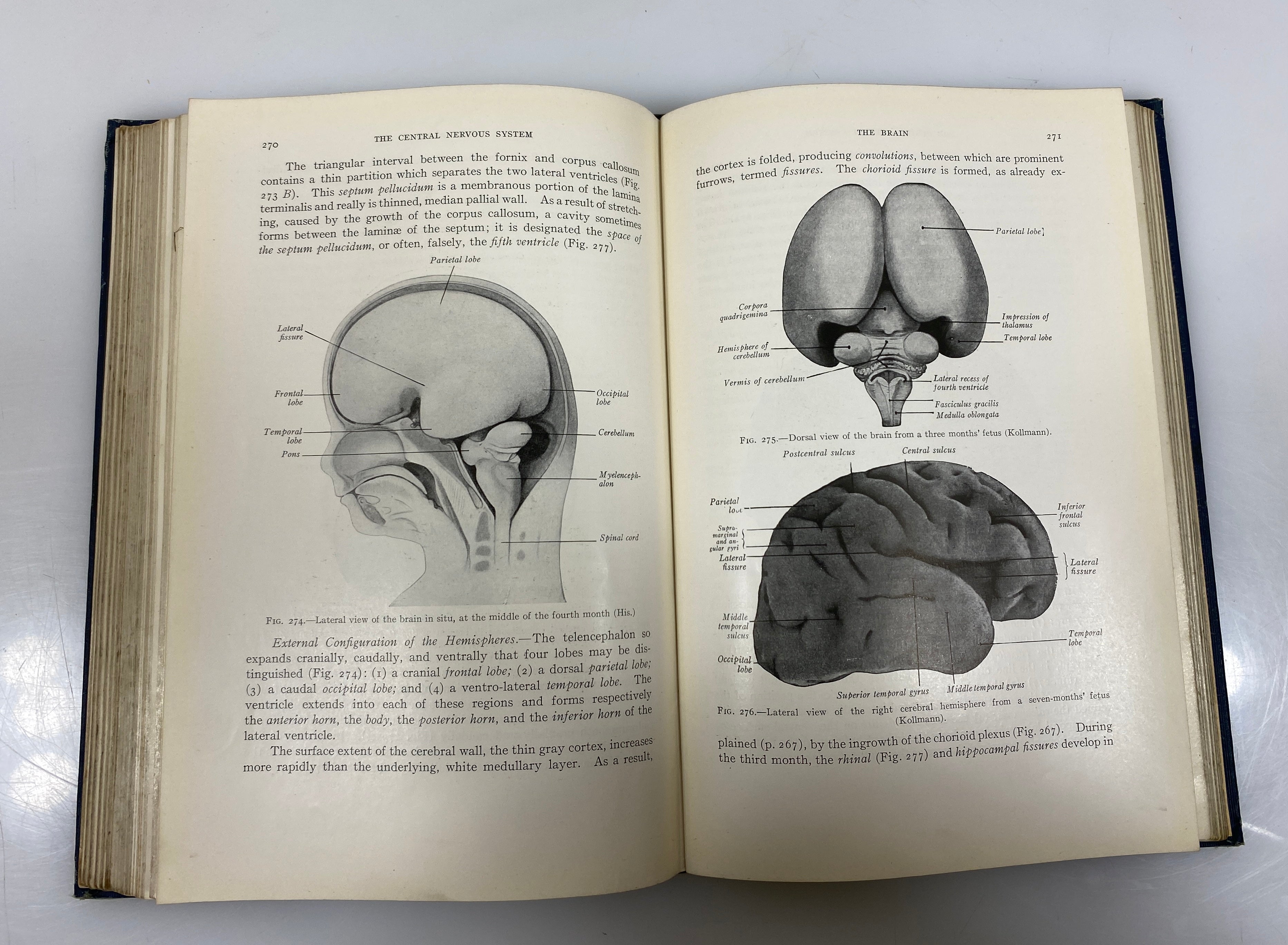 Developmental Anatomy Arey WB Saunders 1925 HC