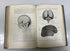 Developmental Anatomy Arey WB Saunders 1925 HC