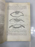 Developmental Anatomy Arey WB Saunders 1925 HC
