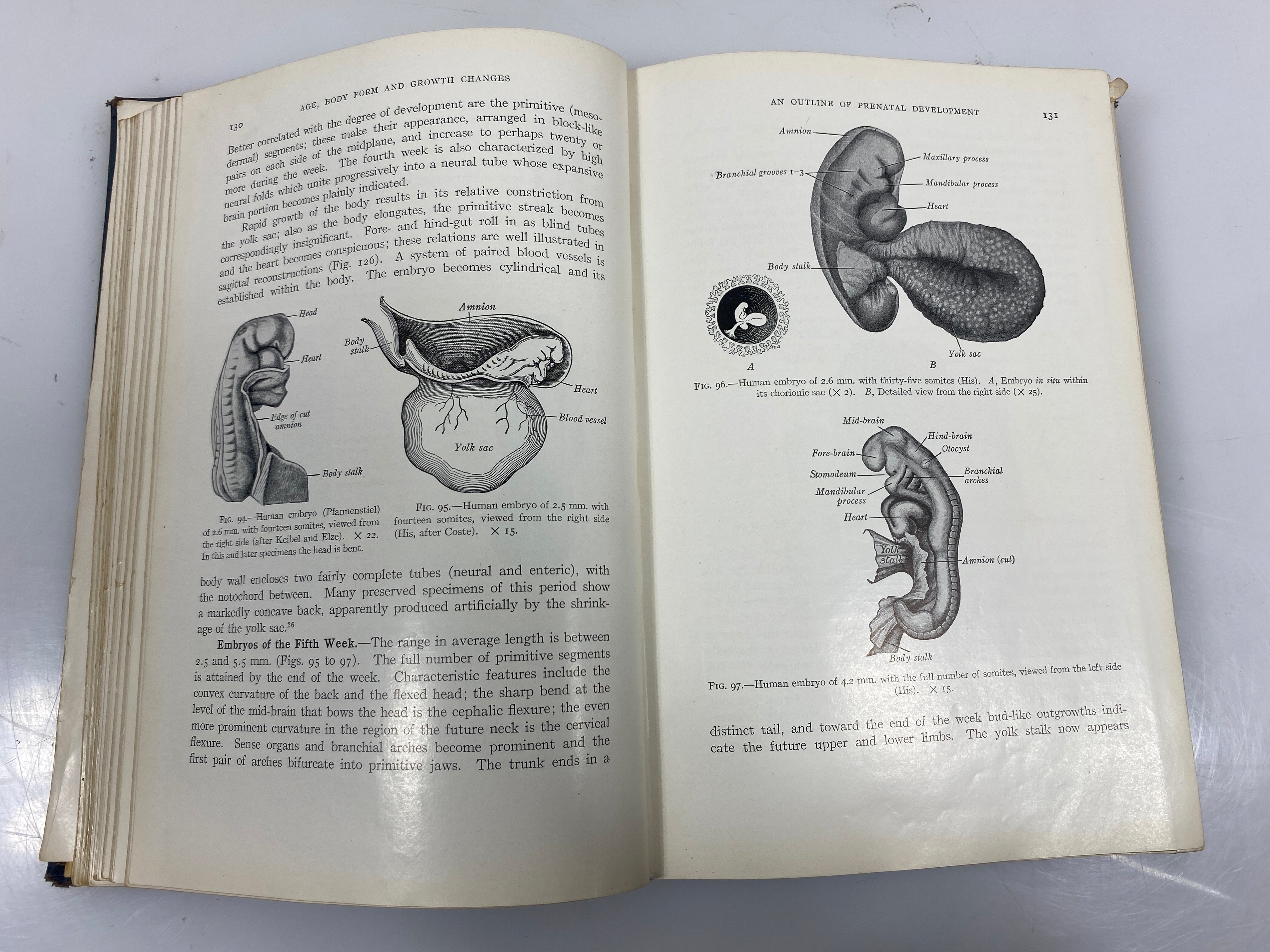 Developmental Anatomy by Arey 3rd Ed. 1938 HC