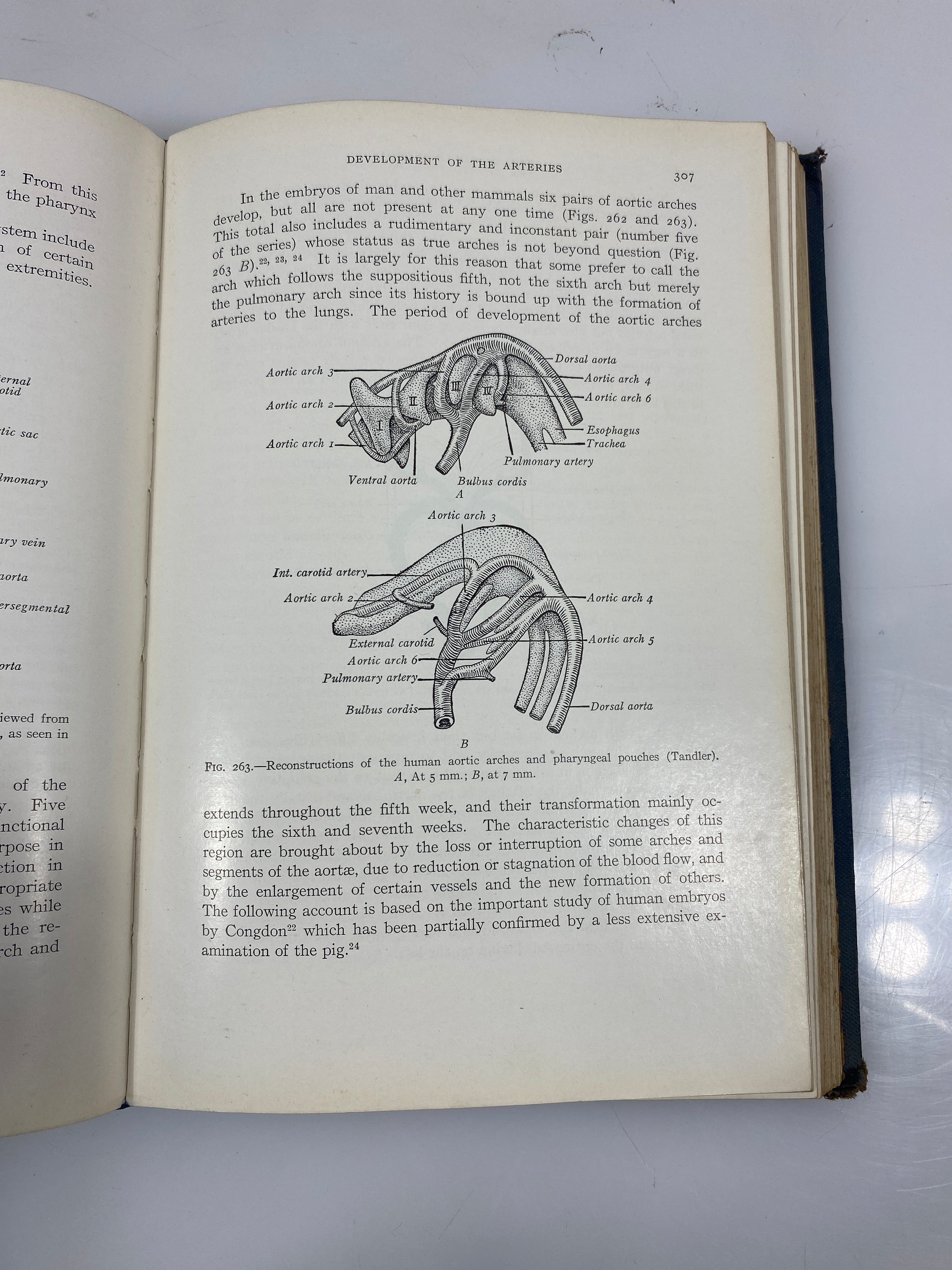 Developmental Anatomy by Arey 3rd Ed. 1938 HC