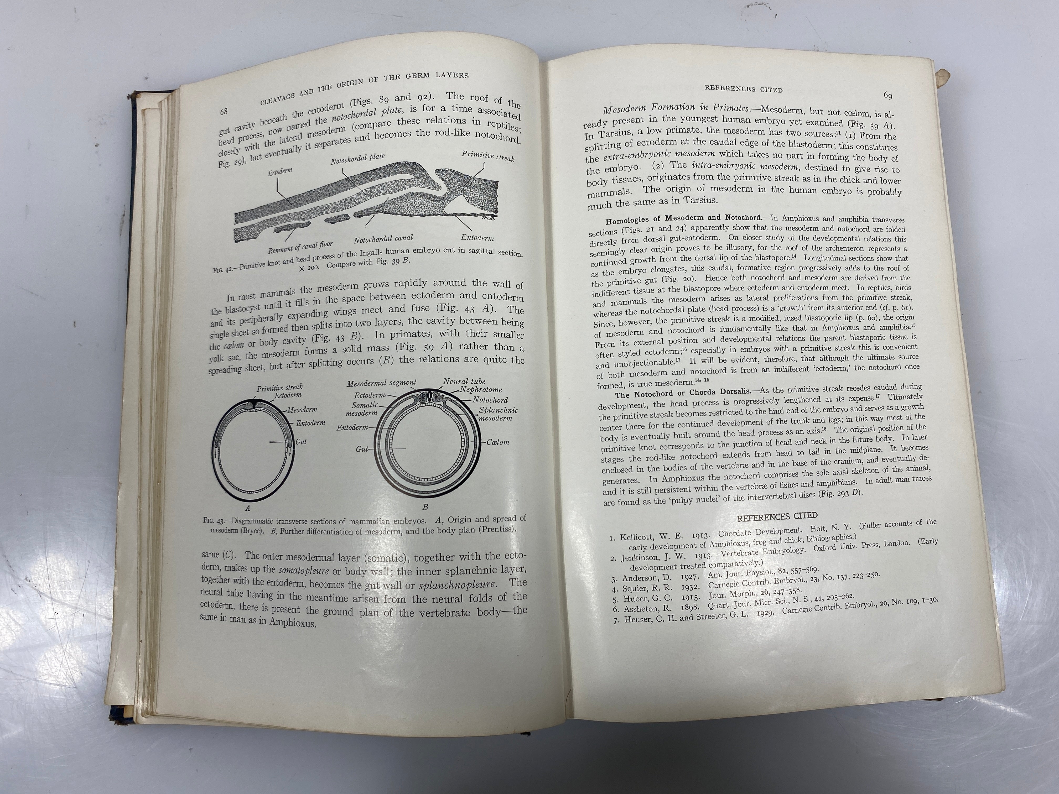 Developmental Anatomy by Arey 3rd Ed. 1938 HC