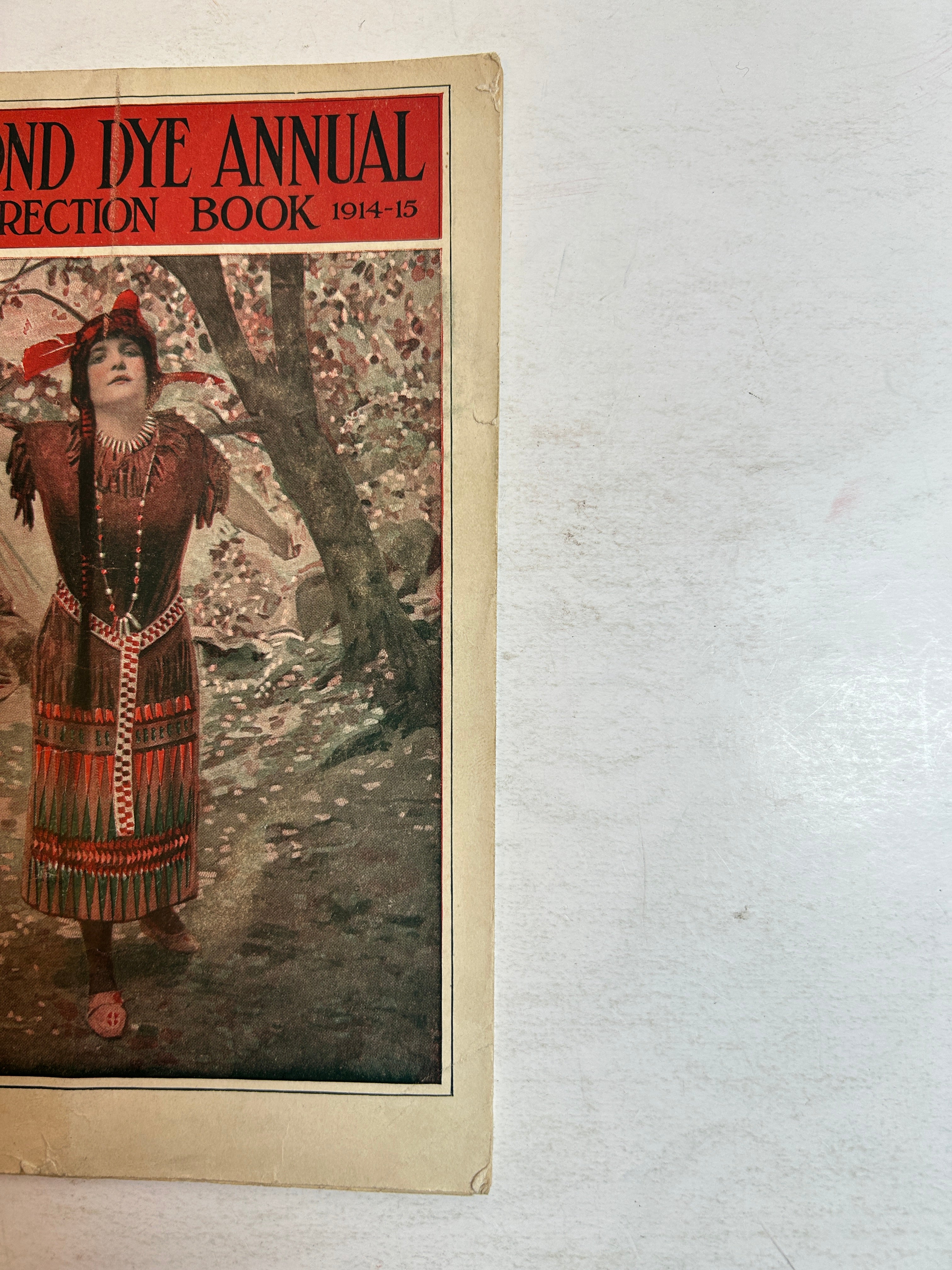 Diamond Dye Annual Direction Book 1914-1915