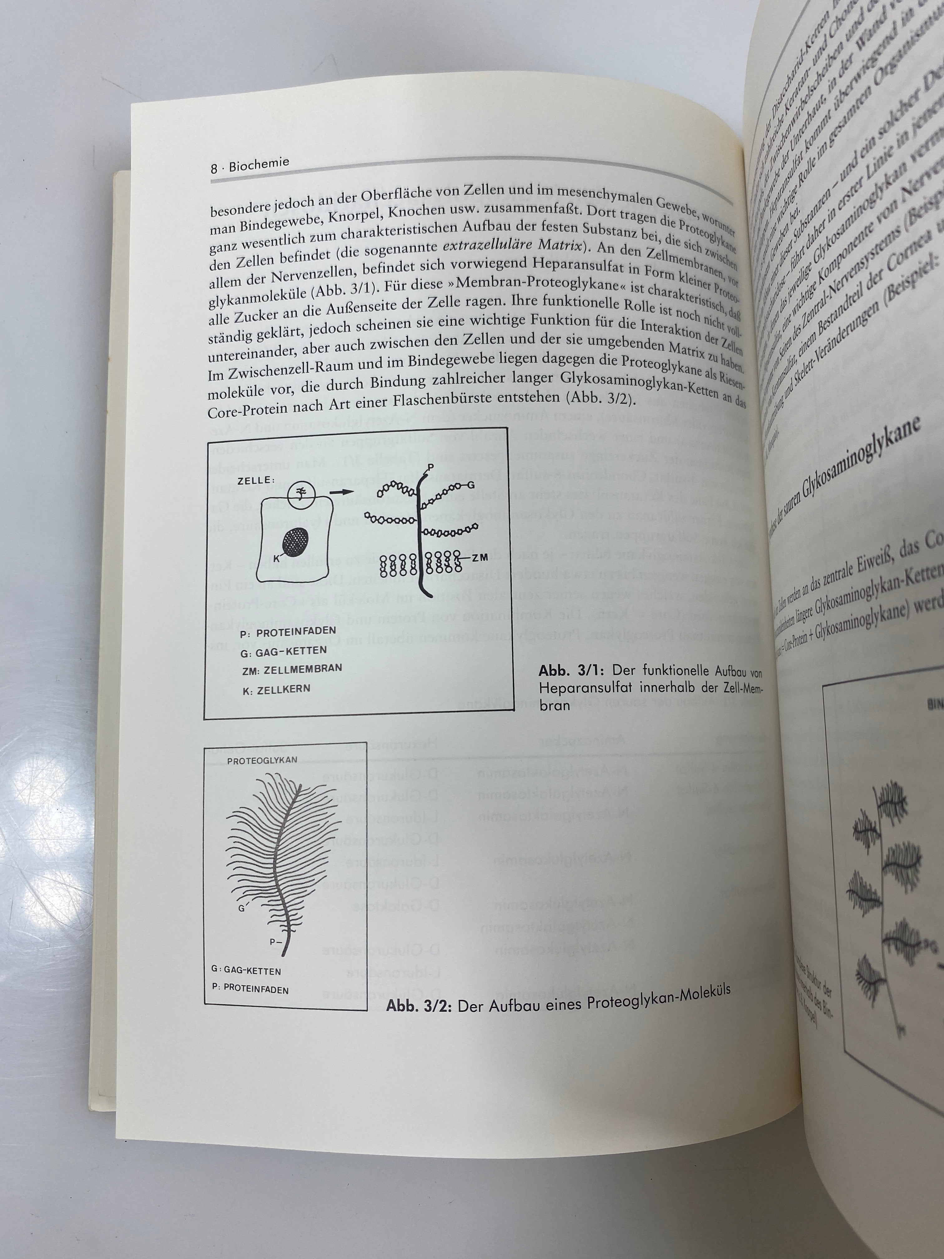 Die Mukopolysaccharidosen by Beck/Fang-Kircher 1993 SC