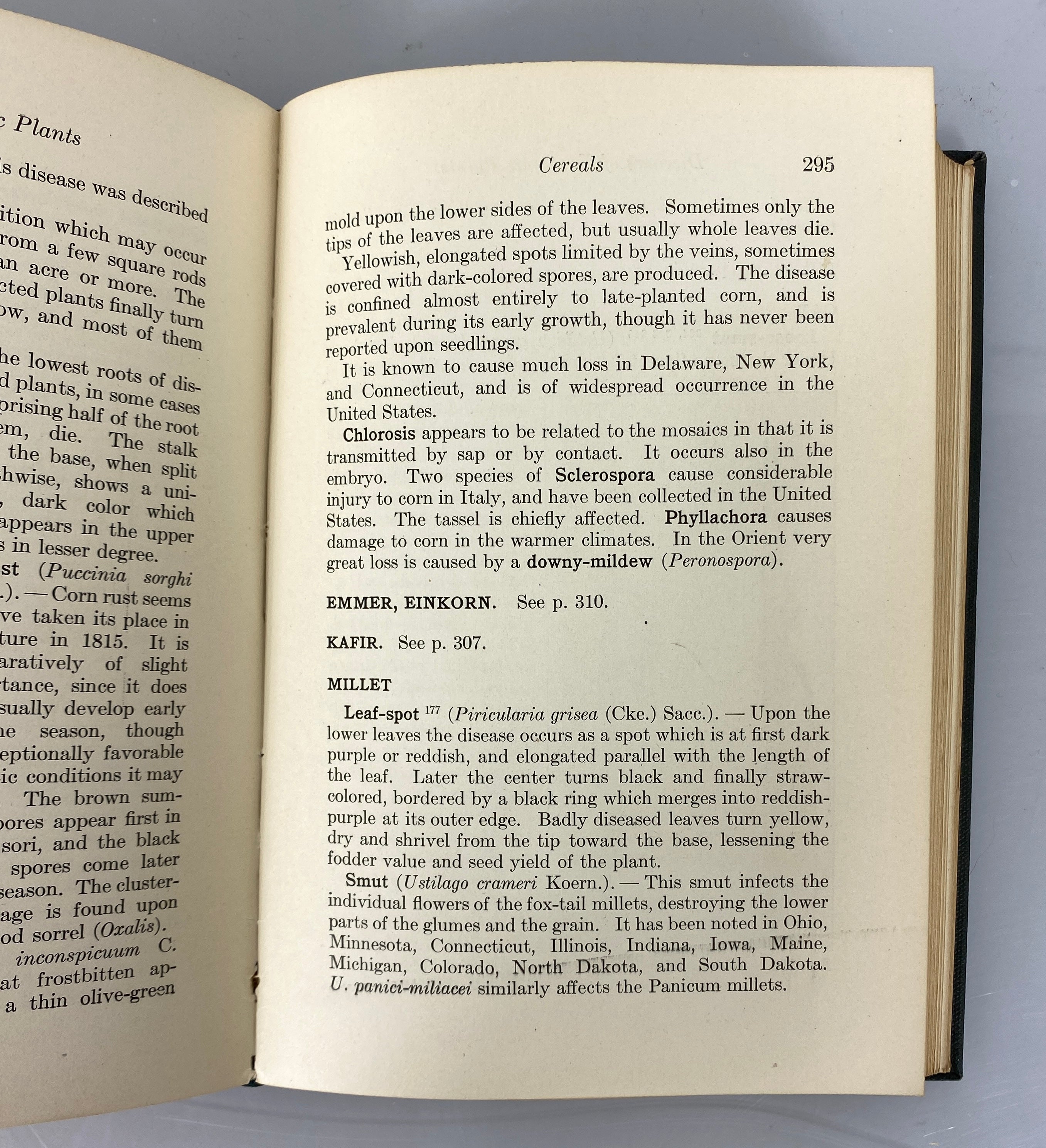 Diseases of Economic Plants Stevens/Hall 1922 Revised Edition Antique HC