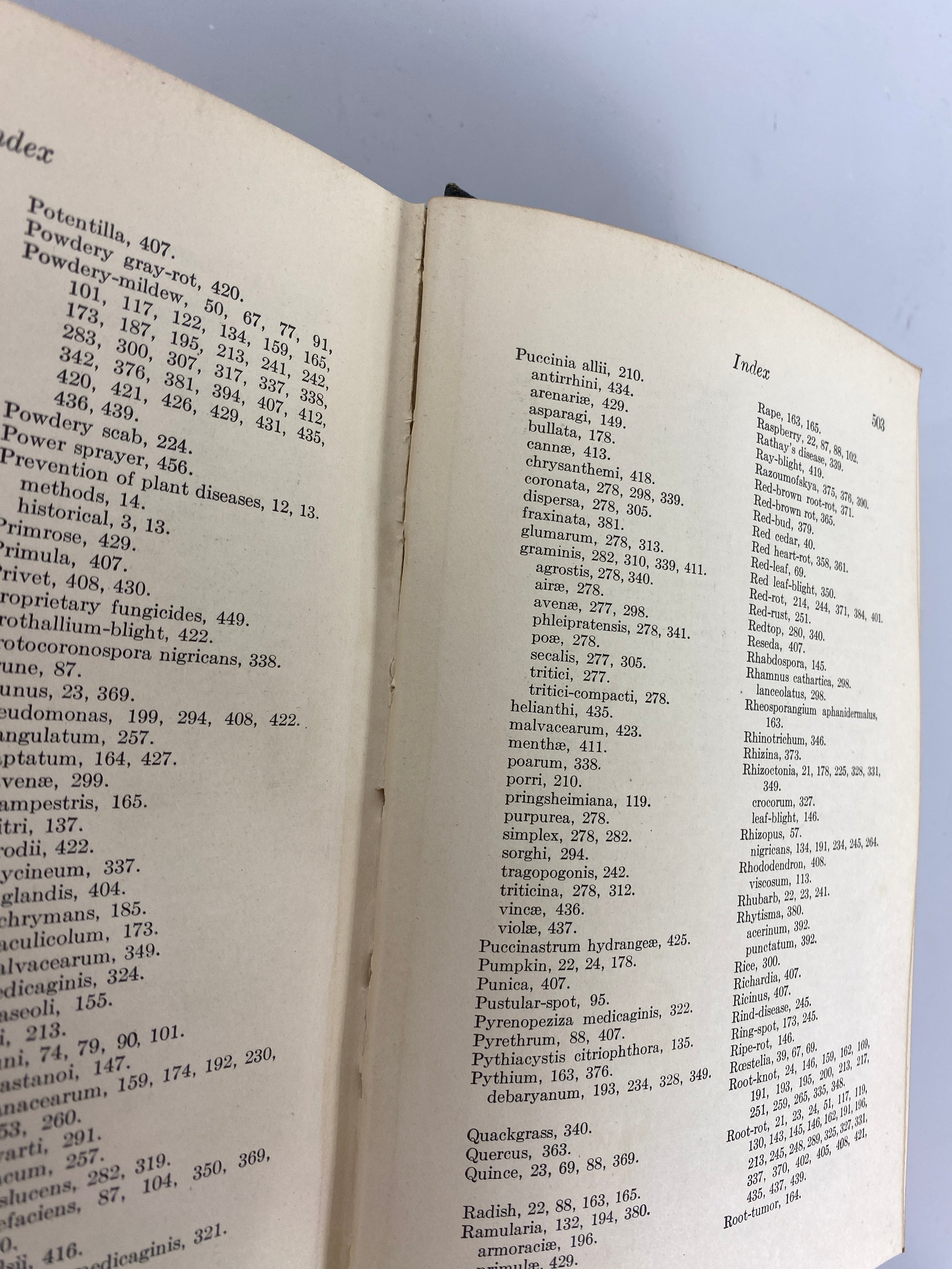 Diseases of Economic Plants Stevens/Hall 1922 Revised Edition Antique HC